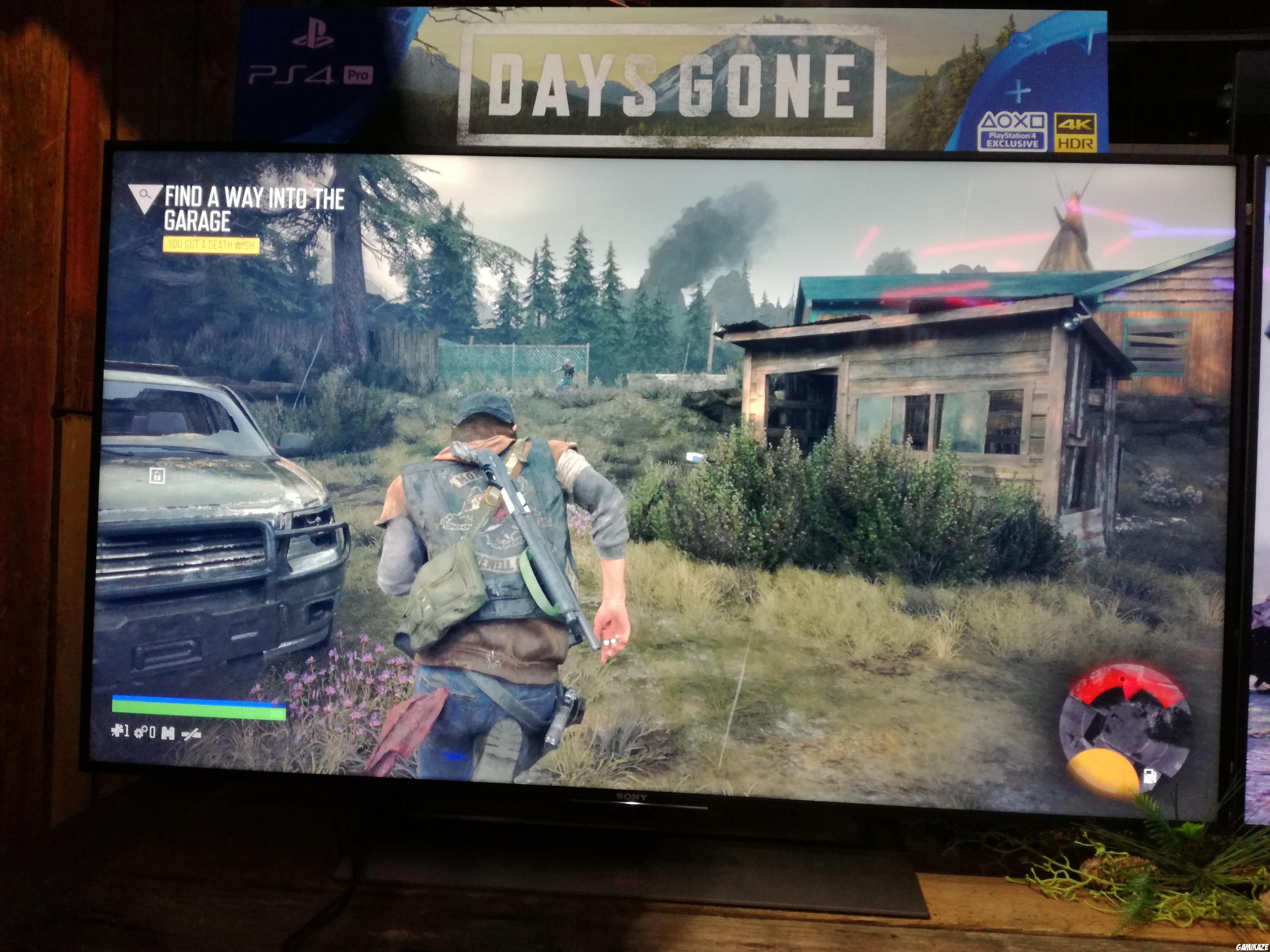 Days Gone