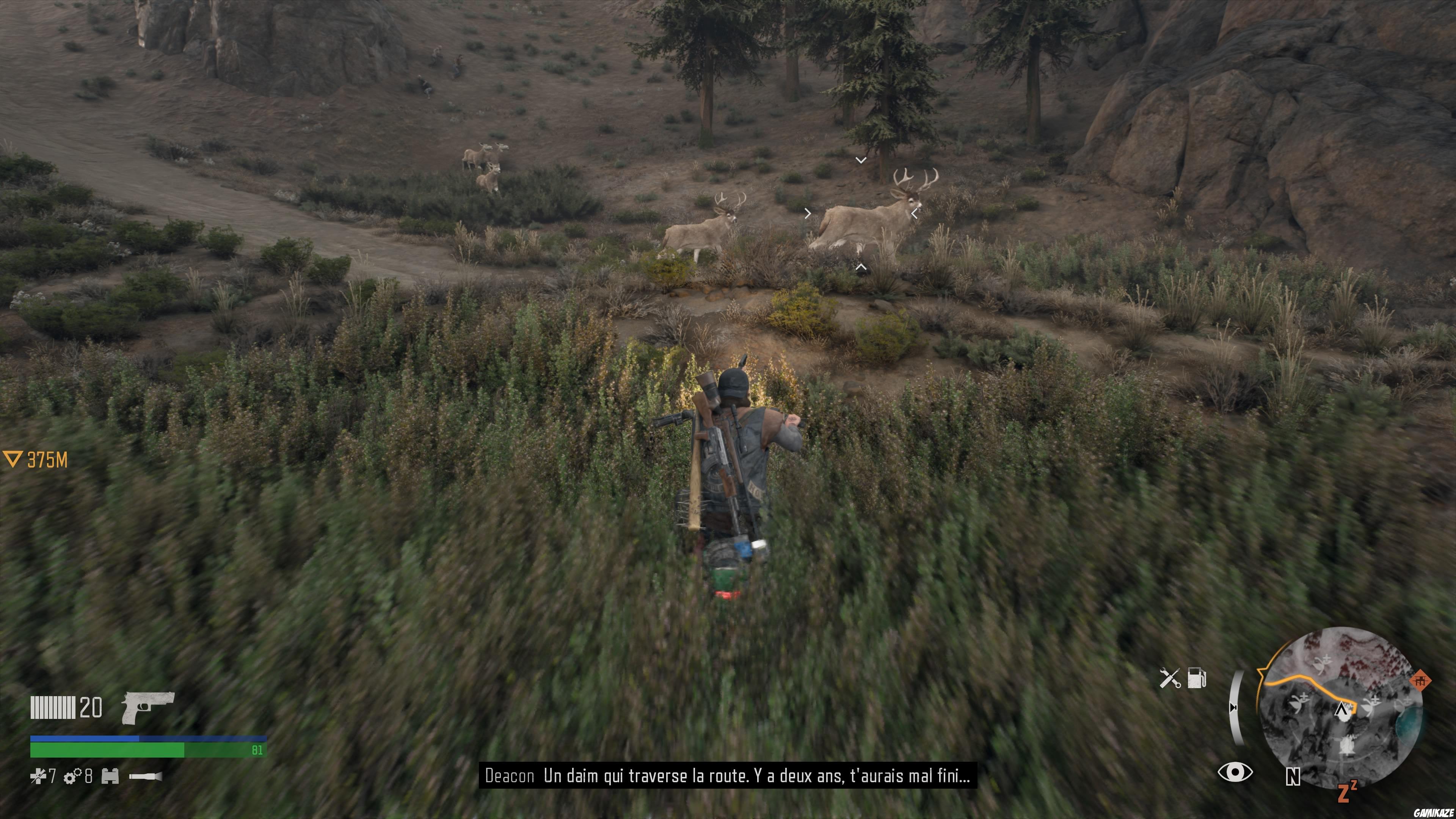 Days Gone
