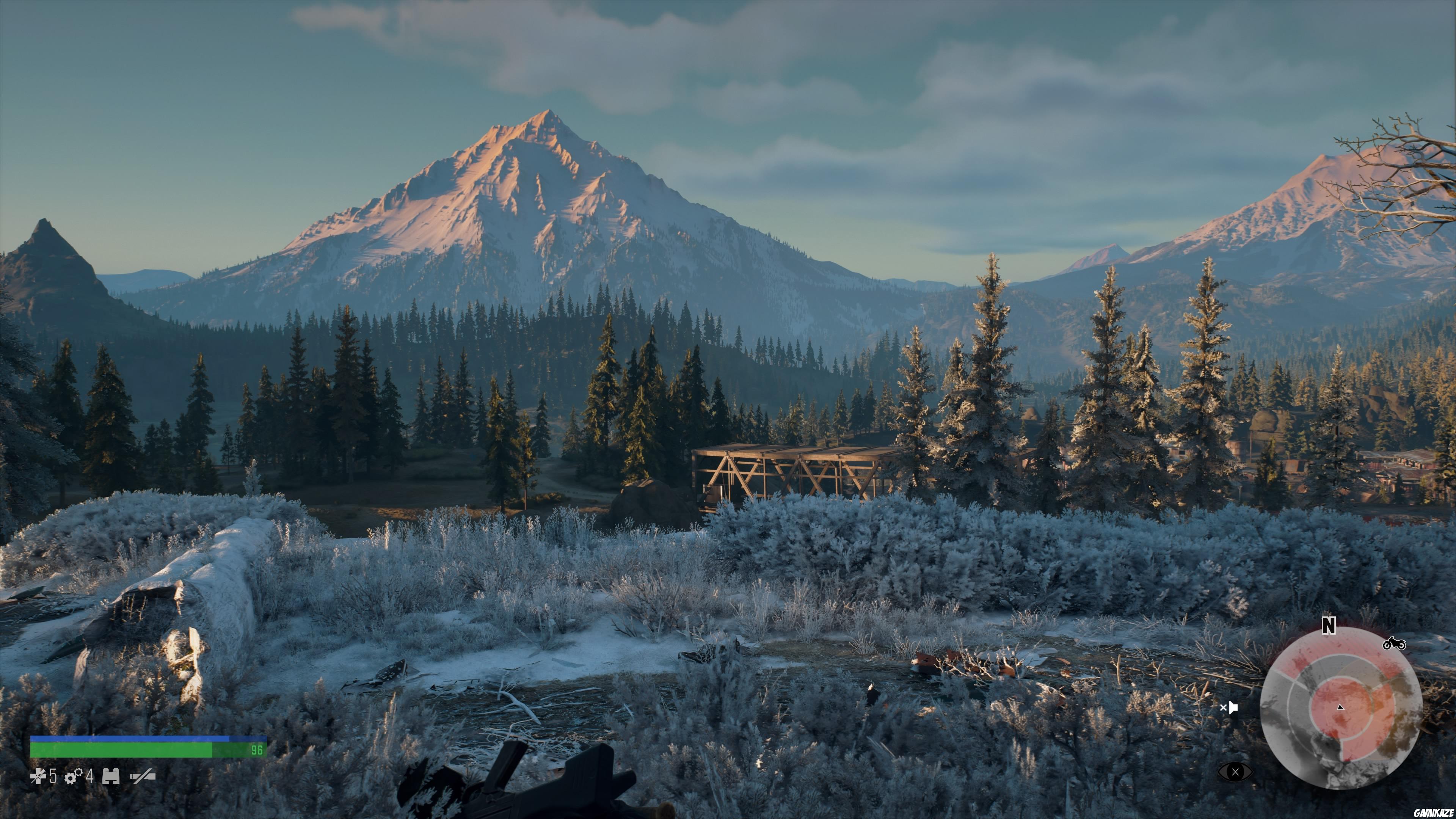 Days Gone