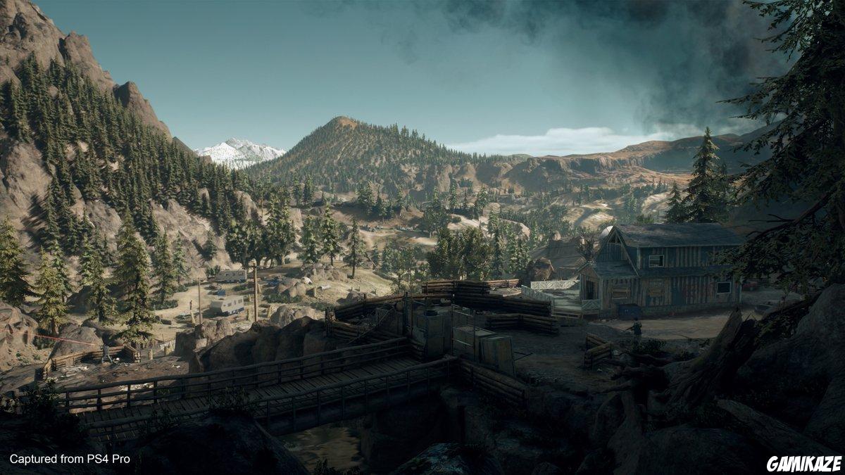 Days Gone