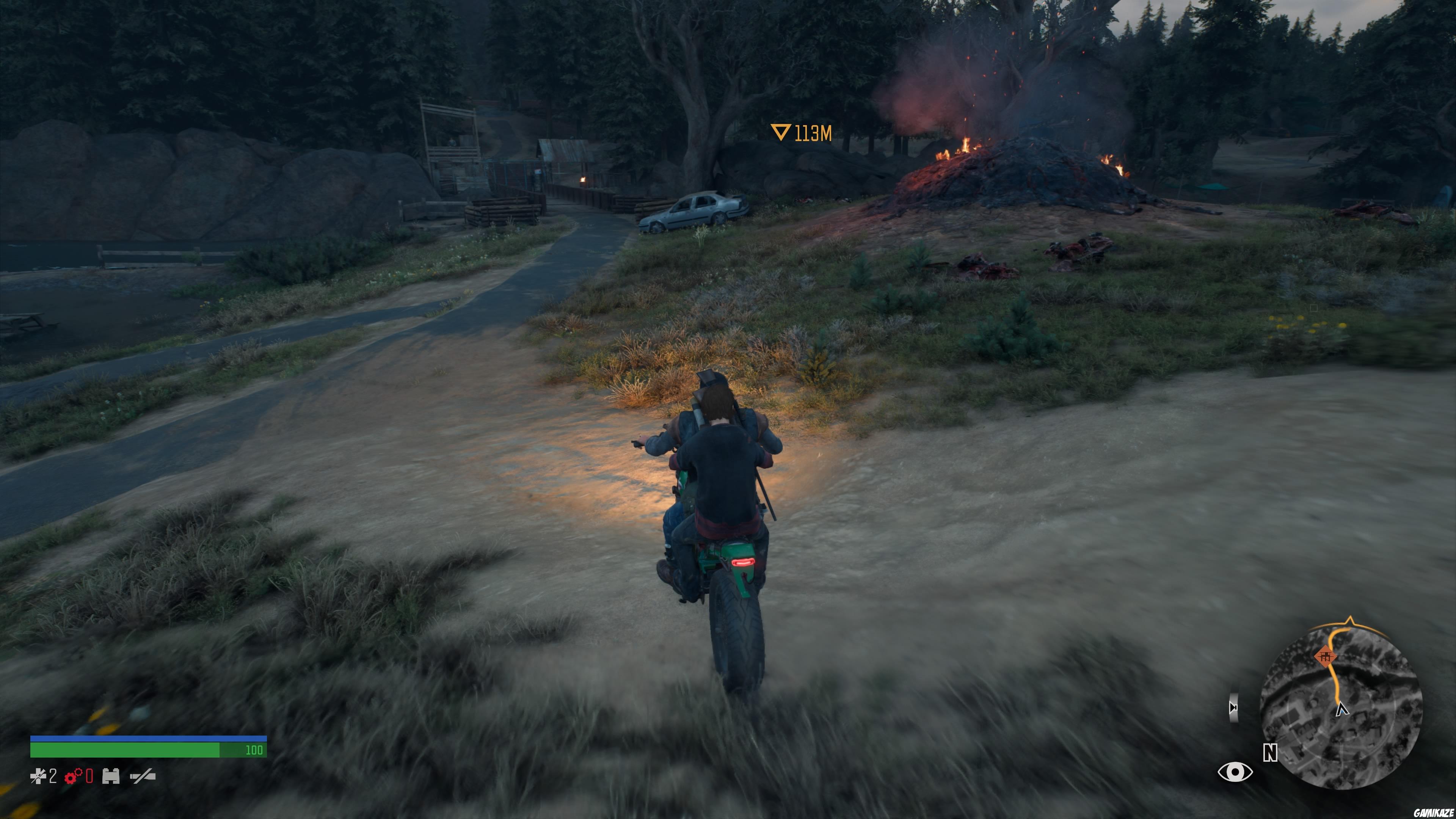 Days Gone