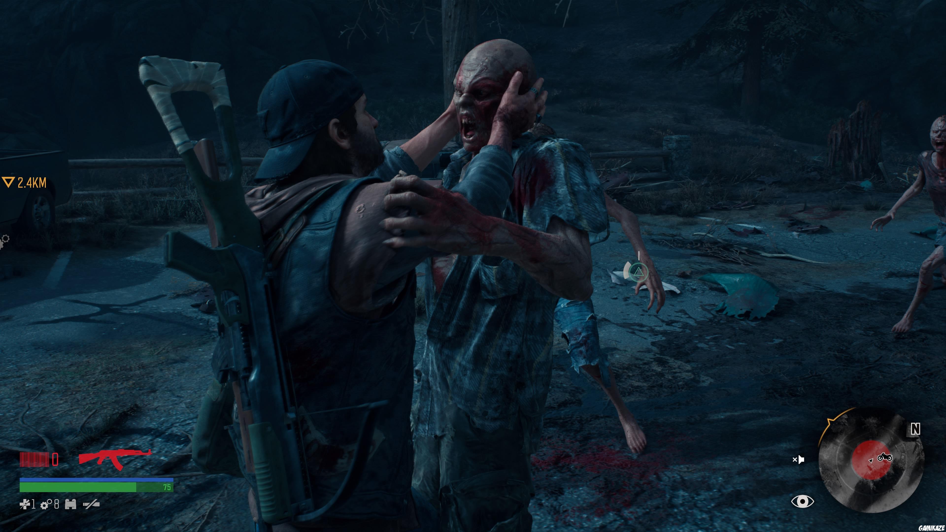 Days Gone