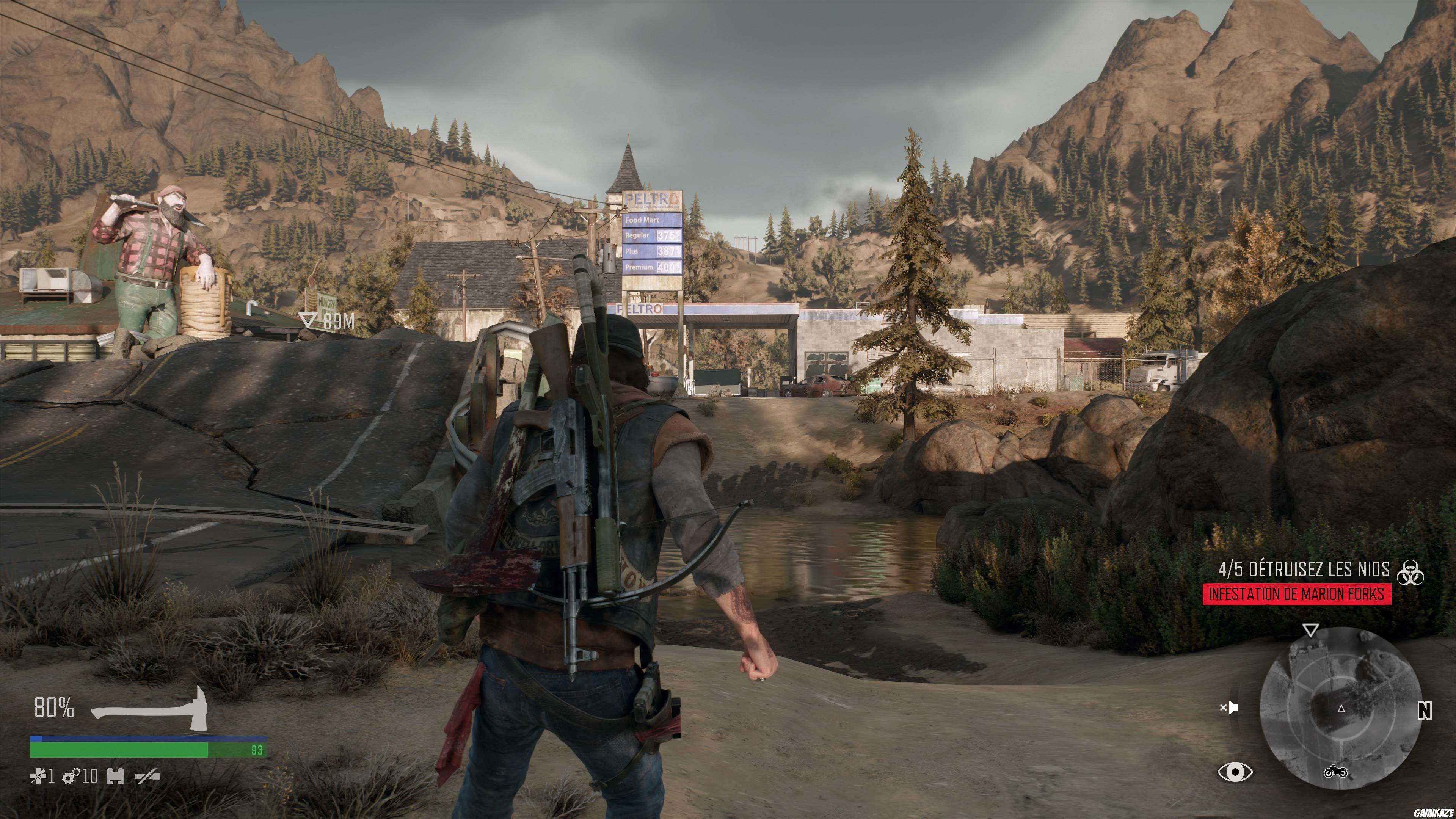 Days Gone
