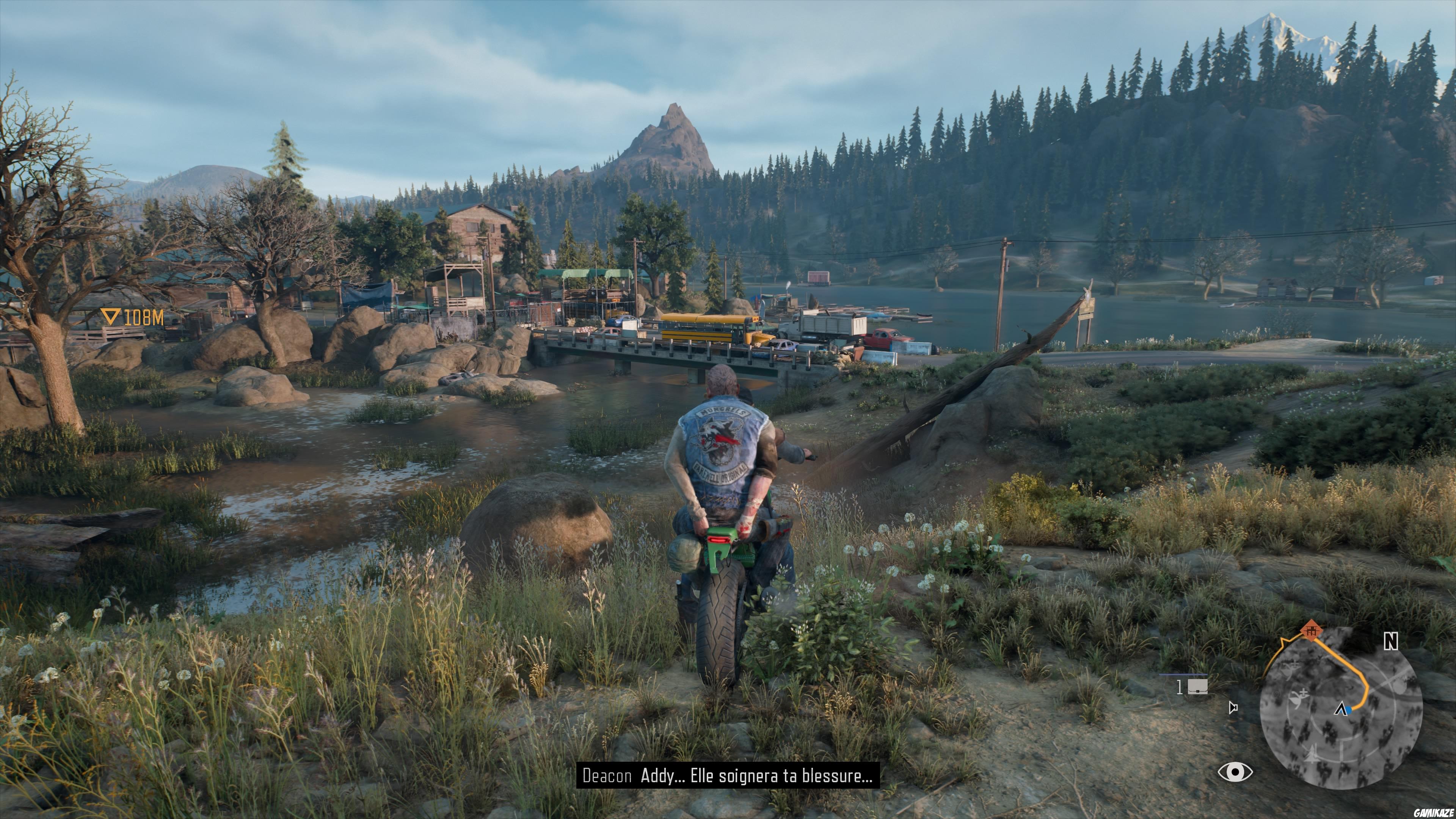 Days Gone