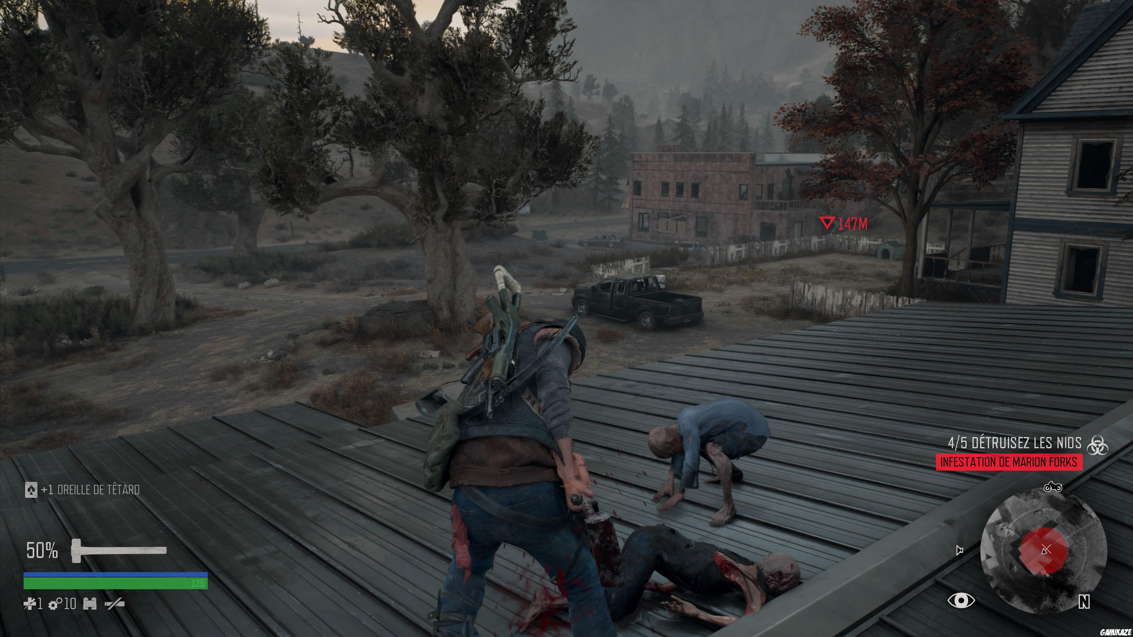 Days Gone