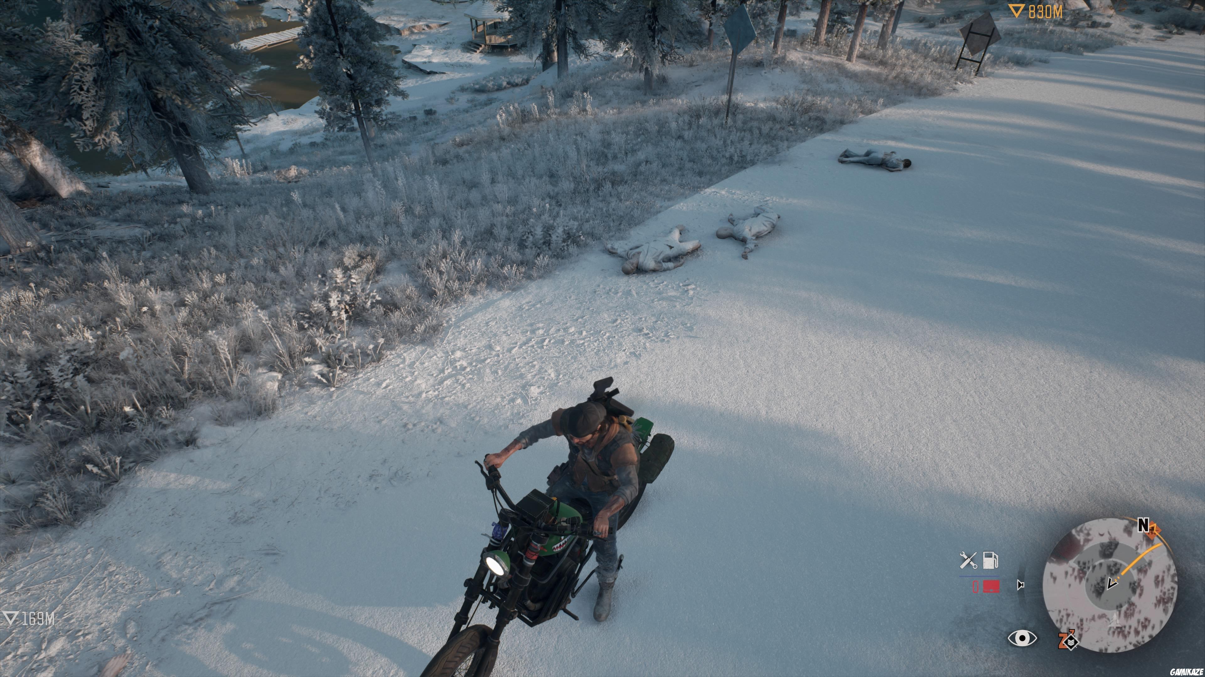 Days Gone