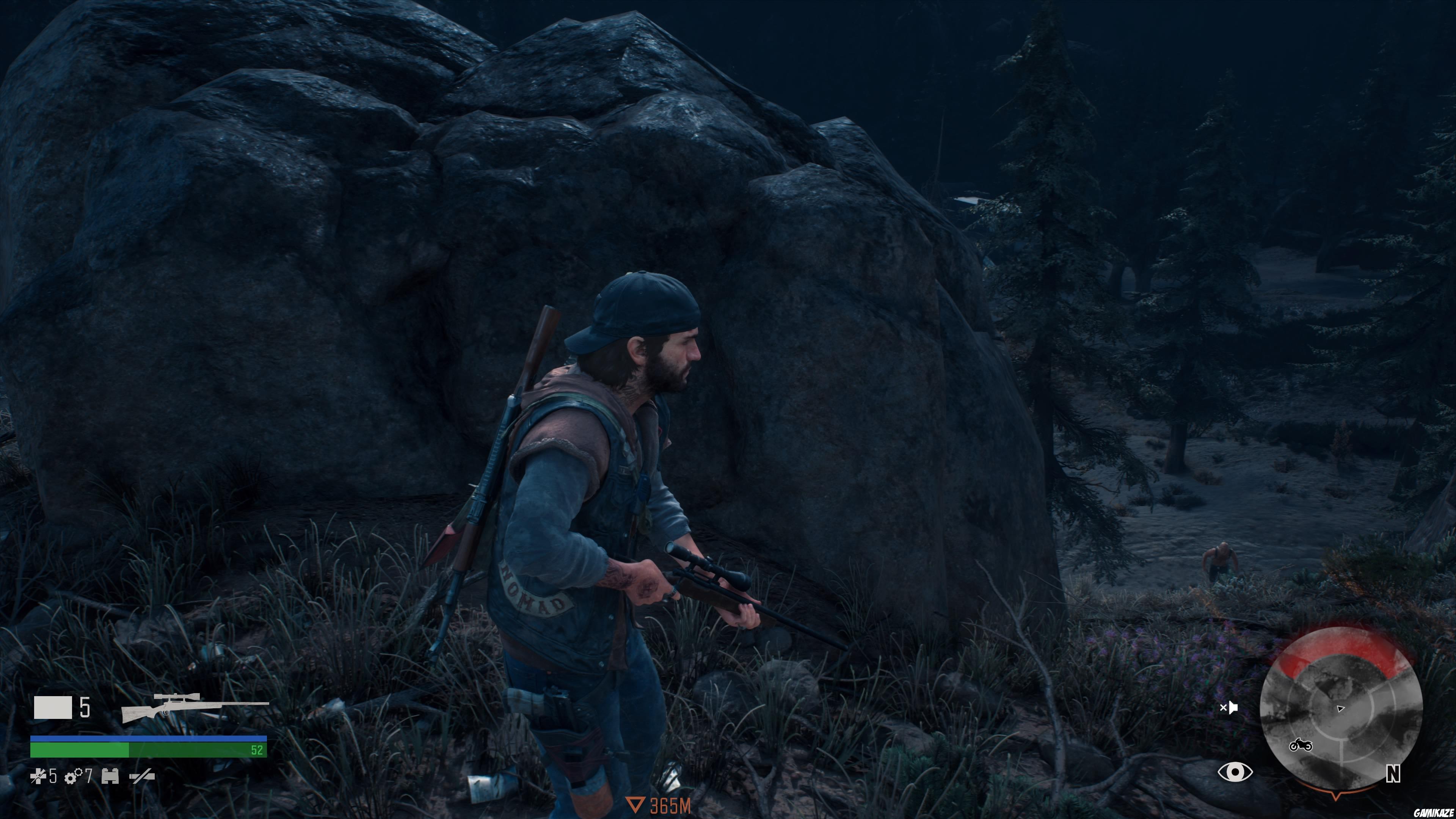 Days Gone