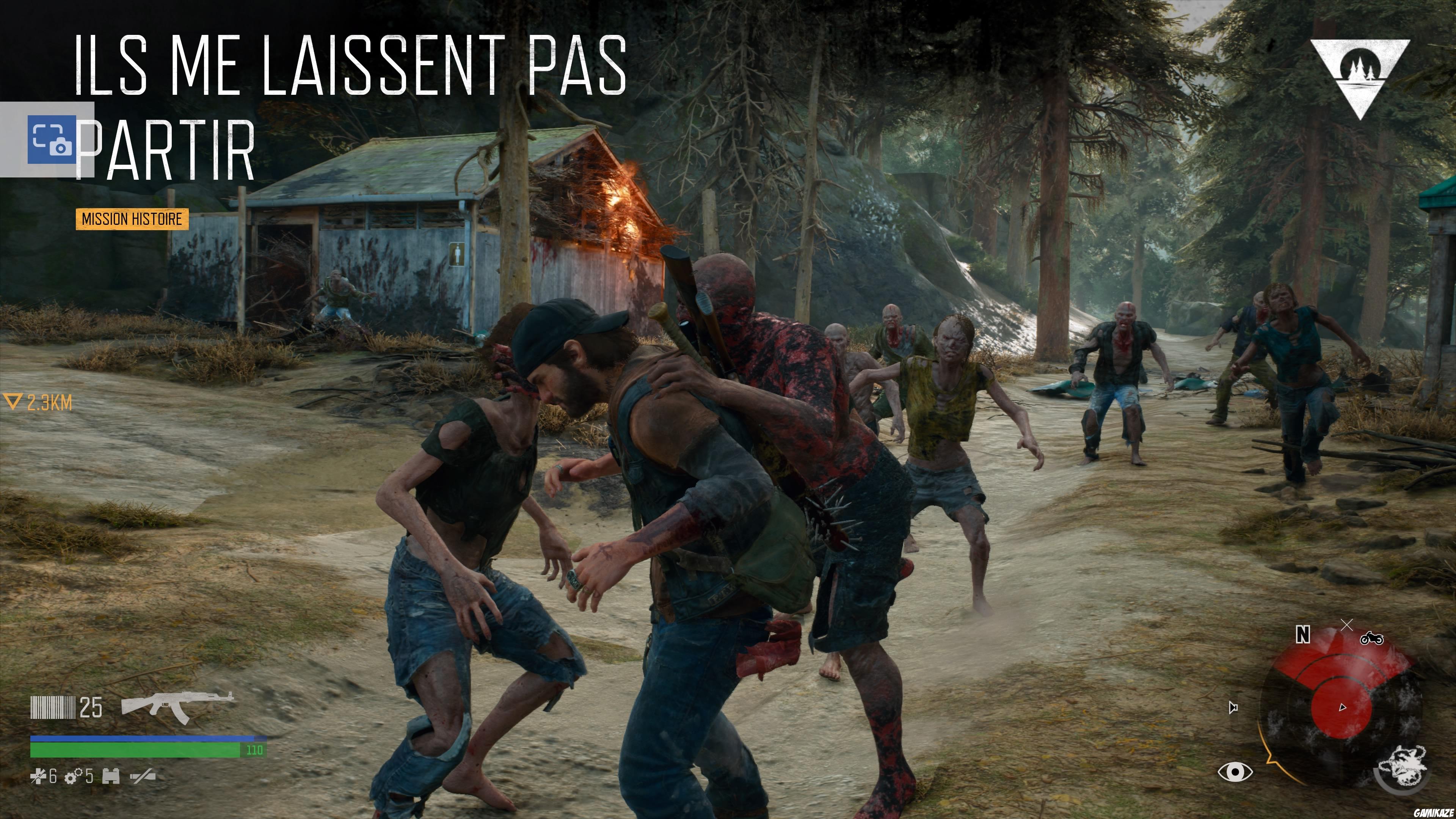 Days Gone