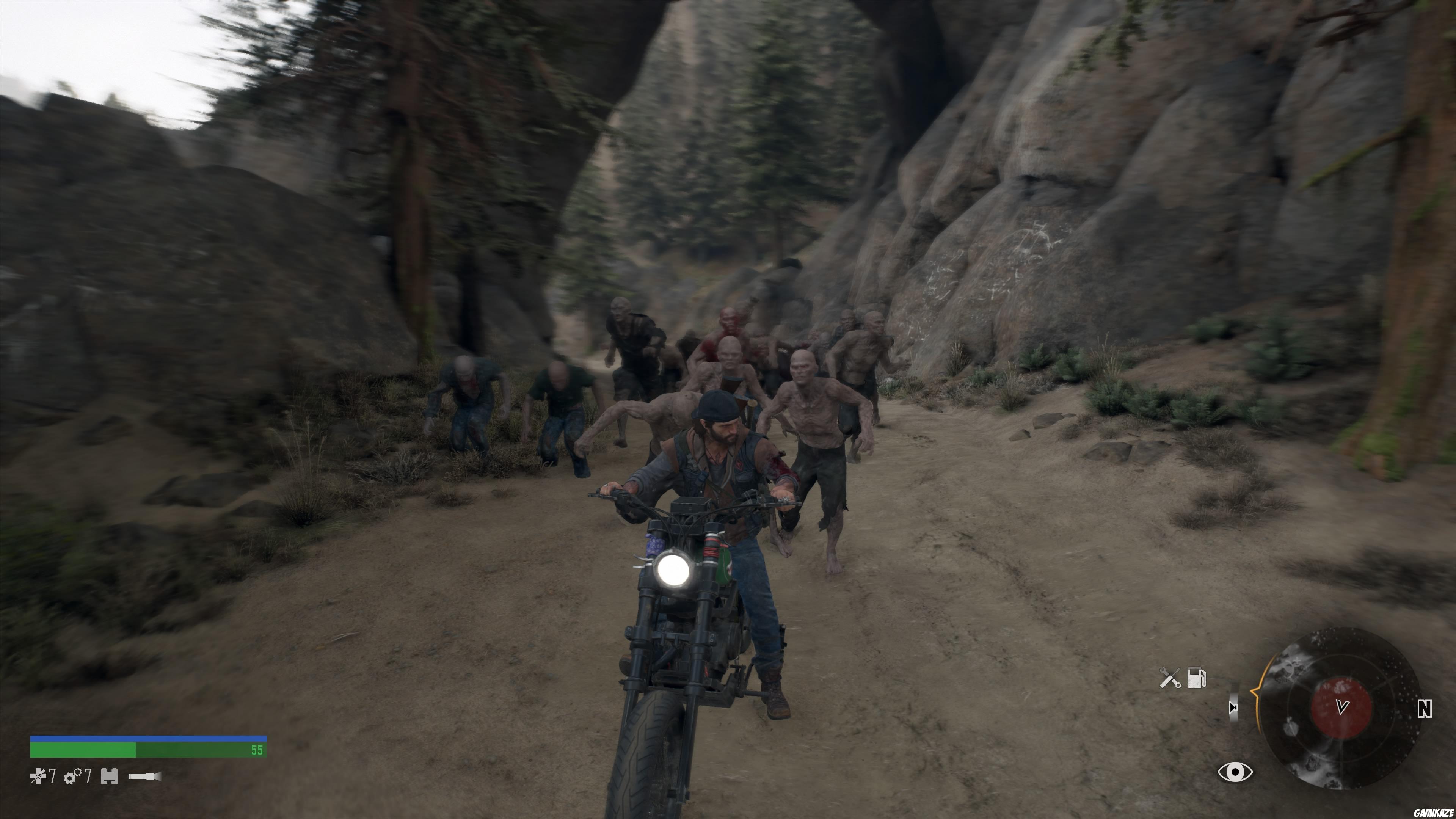 Days Gone