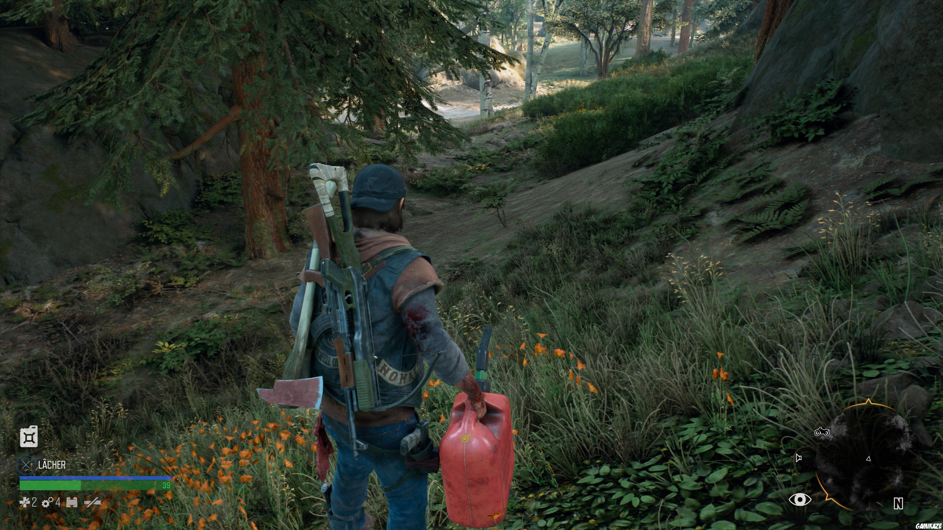 Days Gone