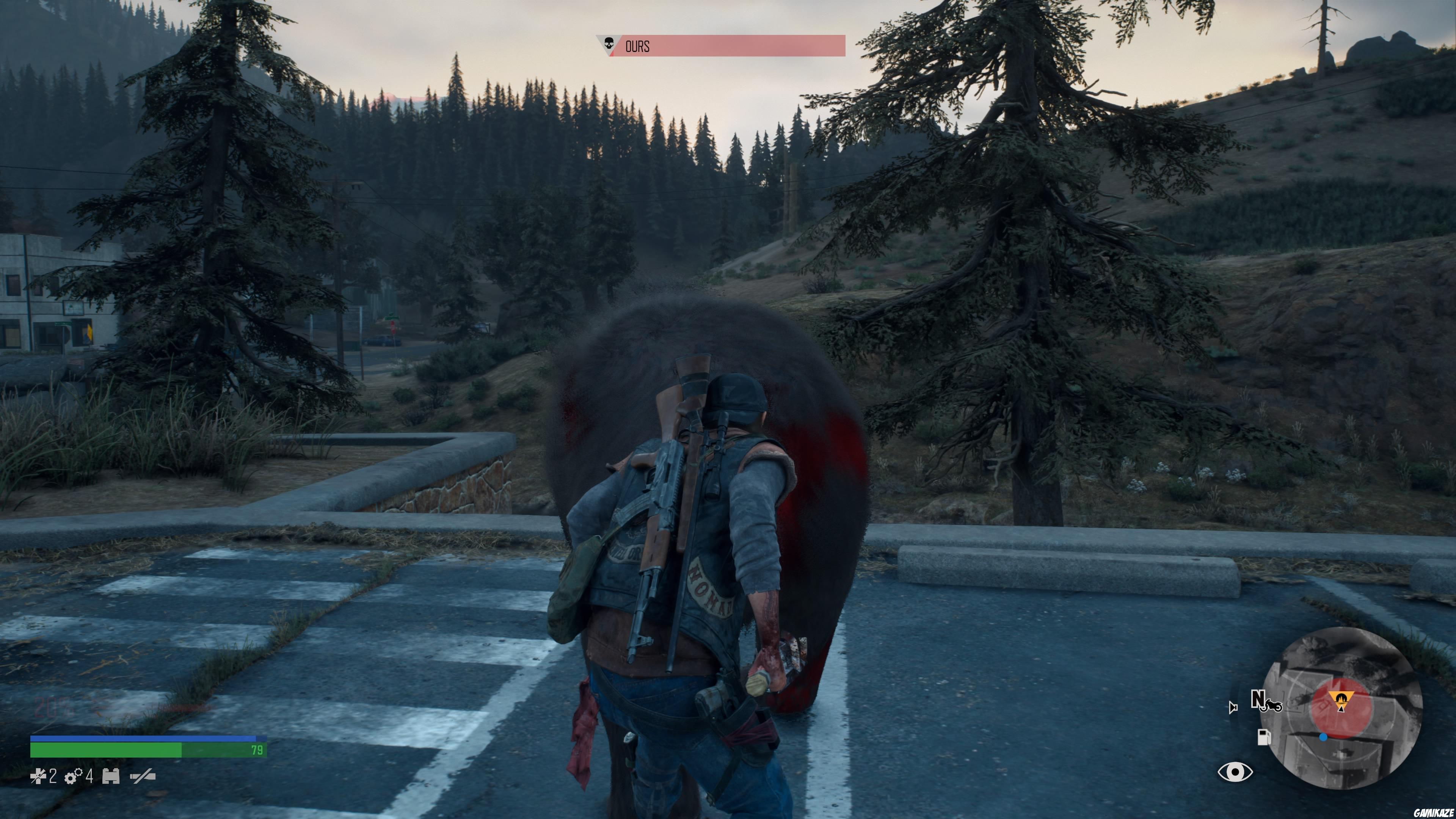 Days Gone