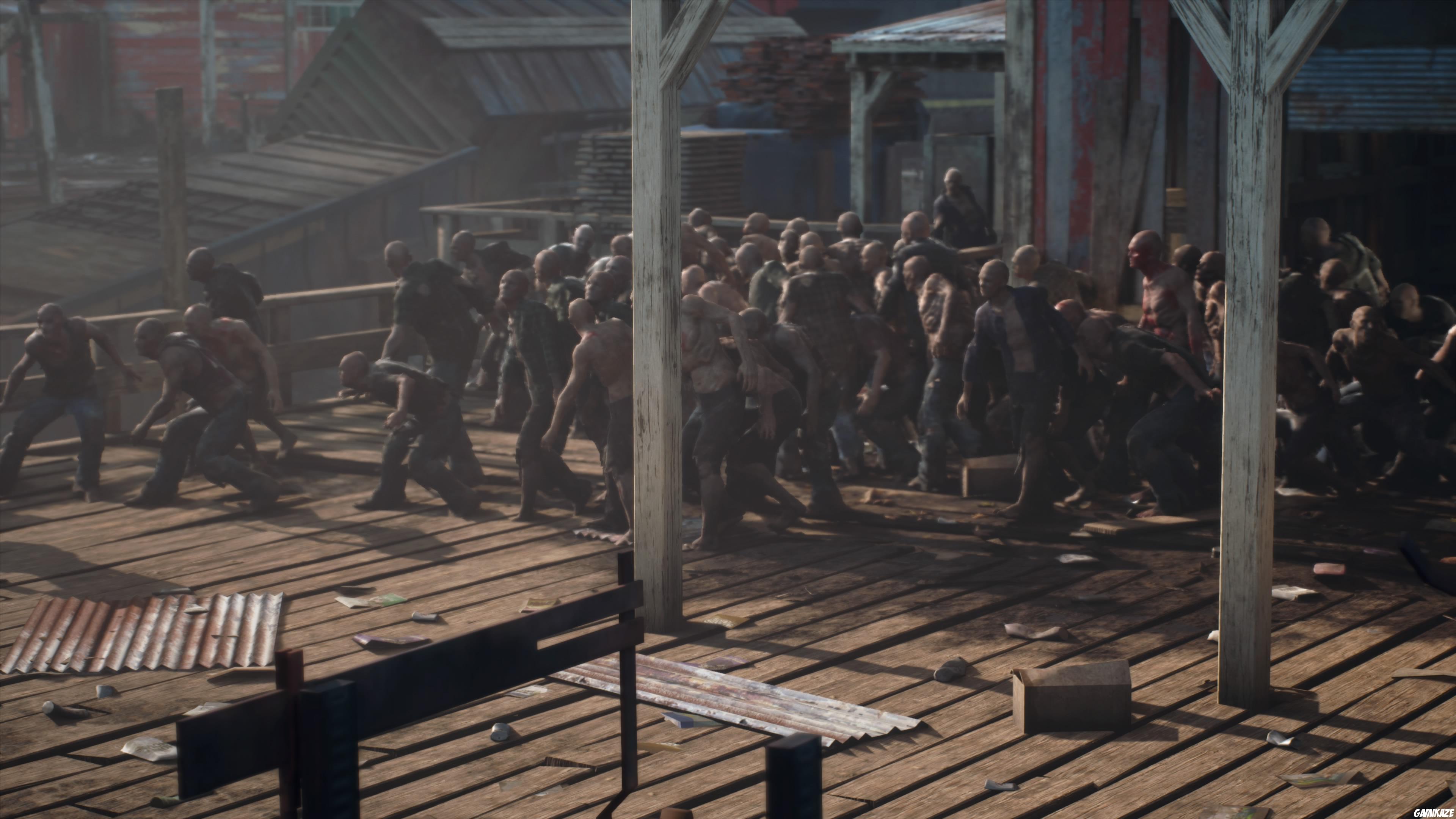 Days Gone
