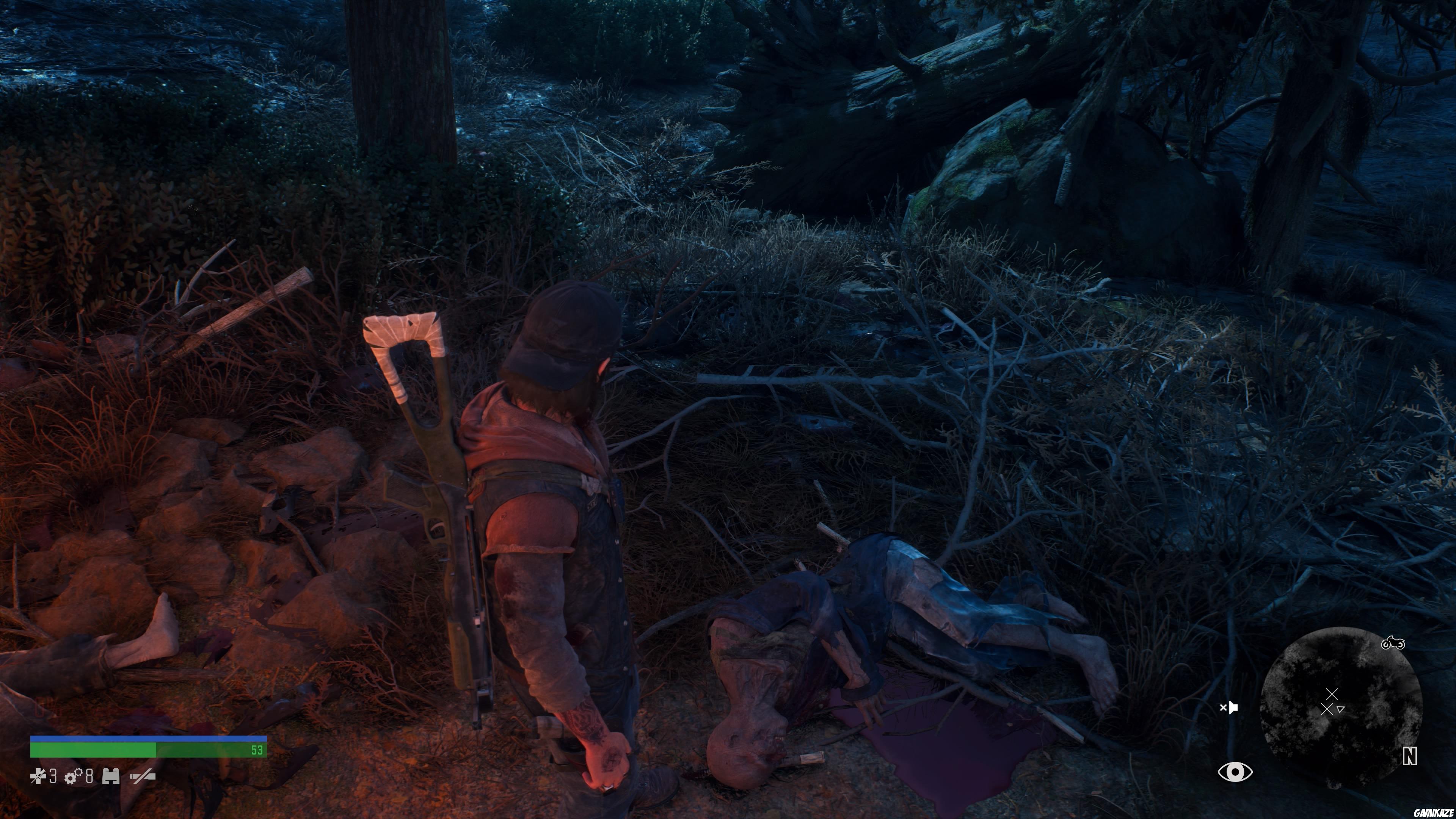 Days Gone
