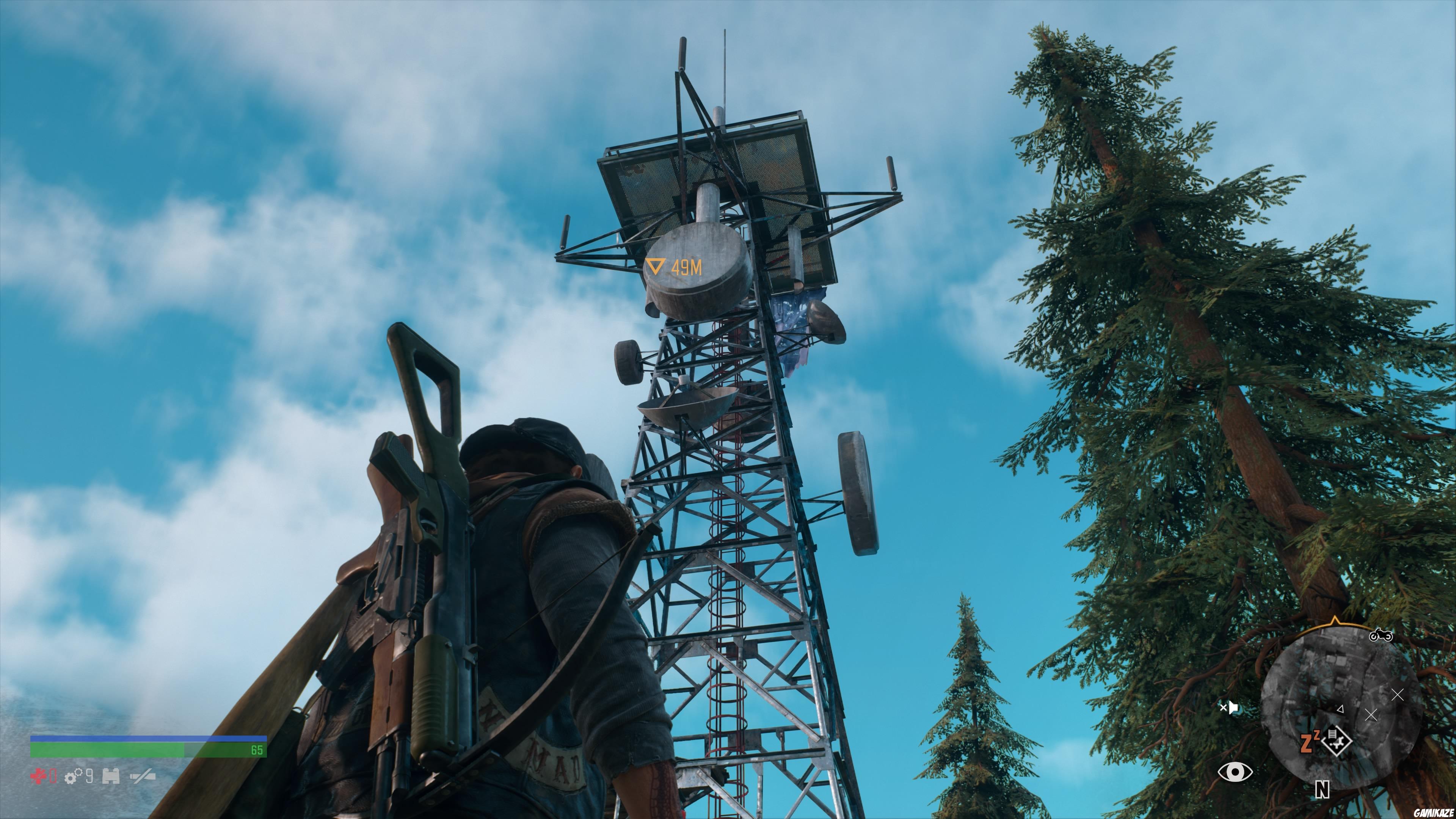 Days Gone