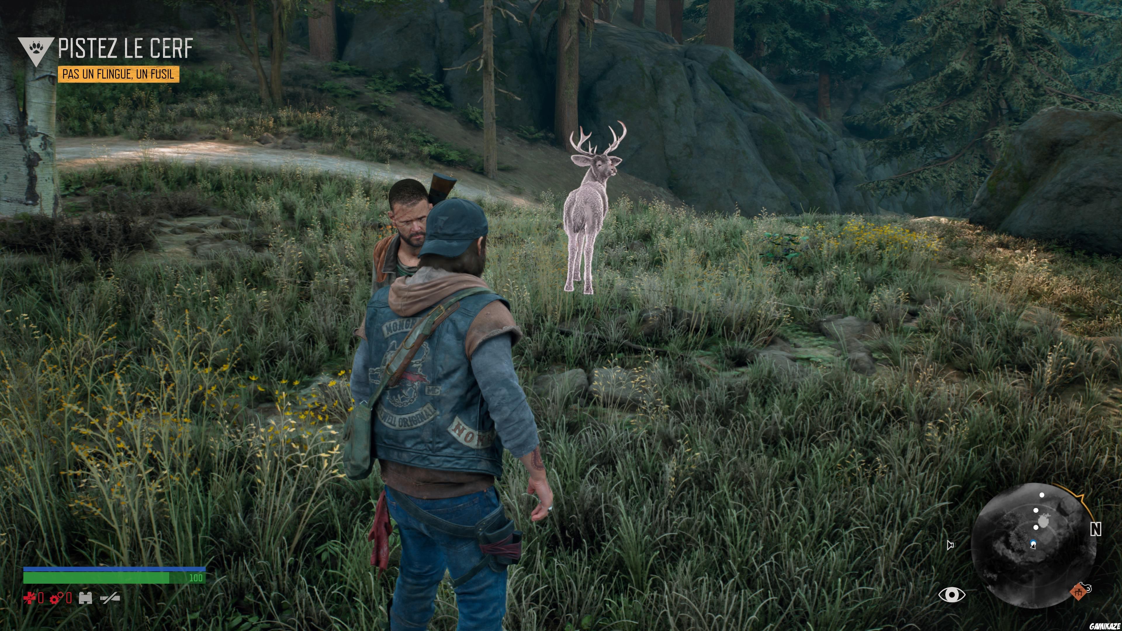 Days Gone