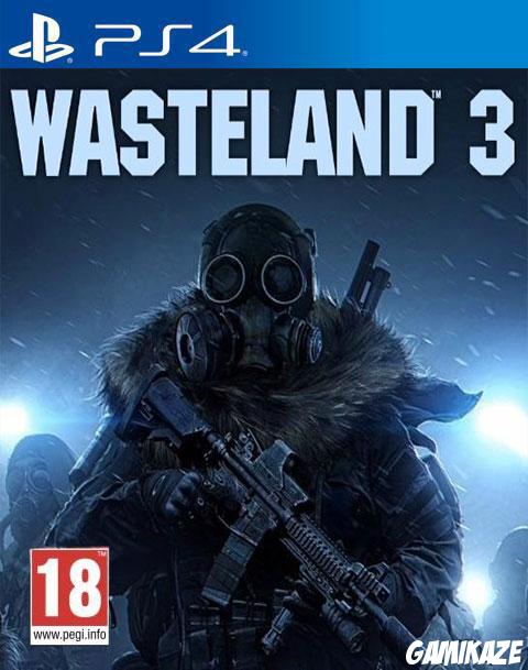 cover Wasteland 3 ps4
