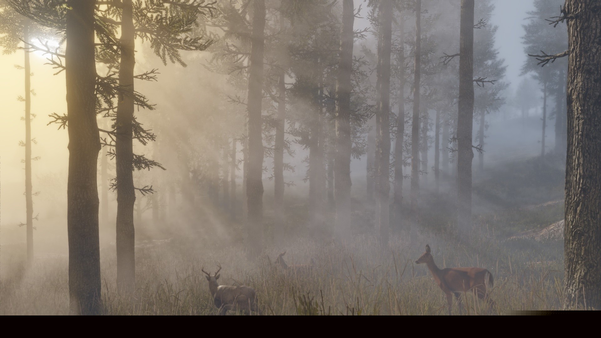 Red Dead Redemption 2