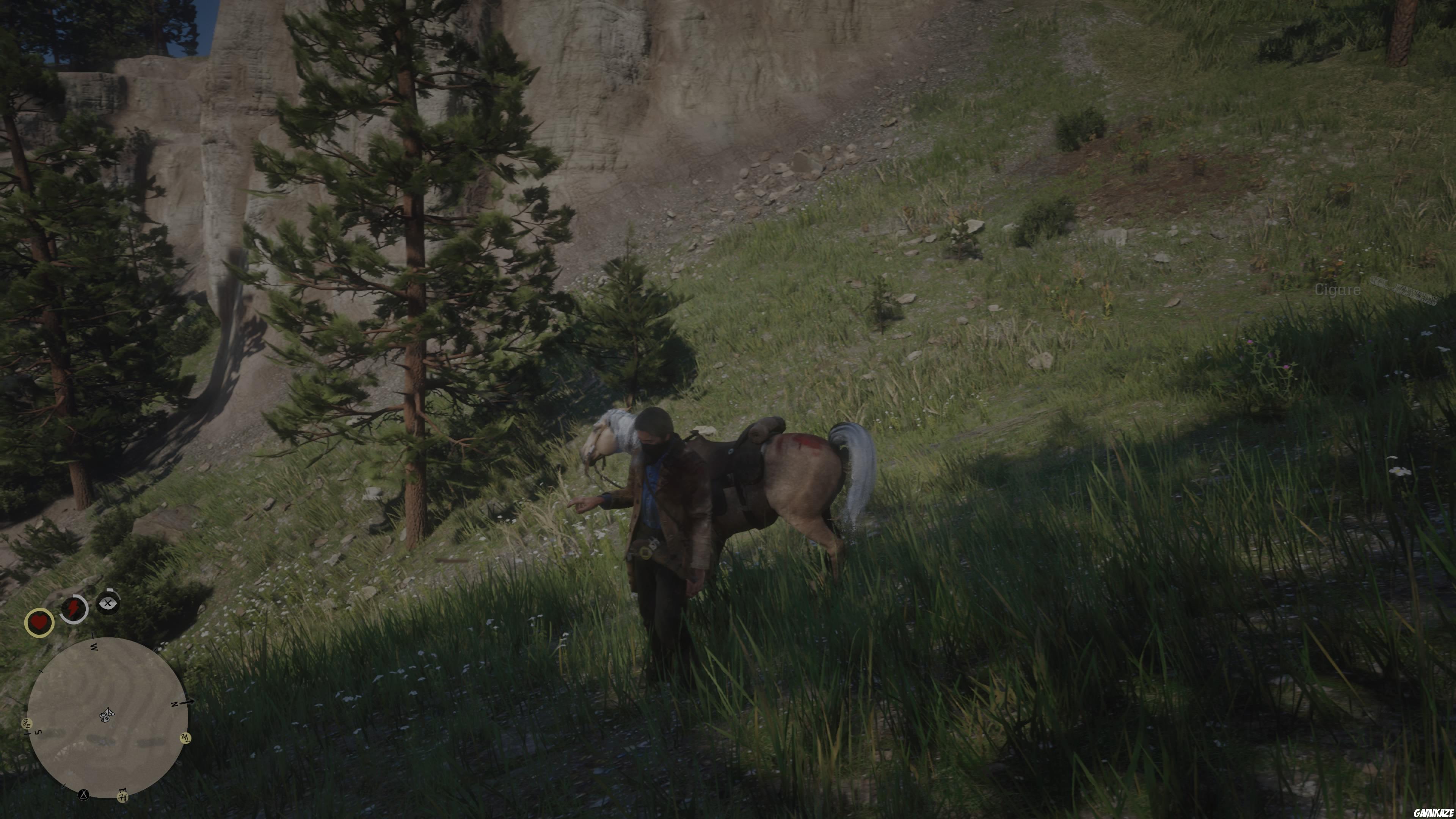 Red Dead Redemption 2