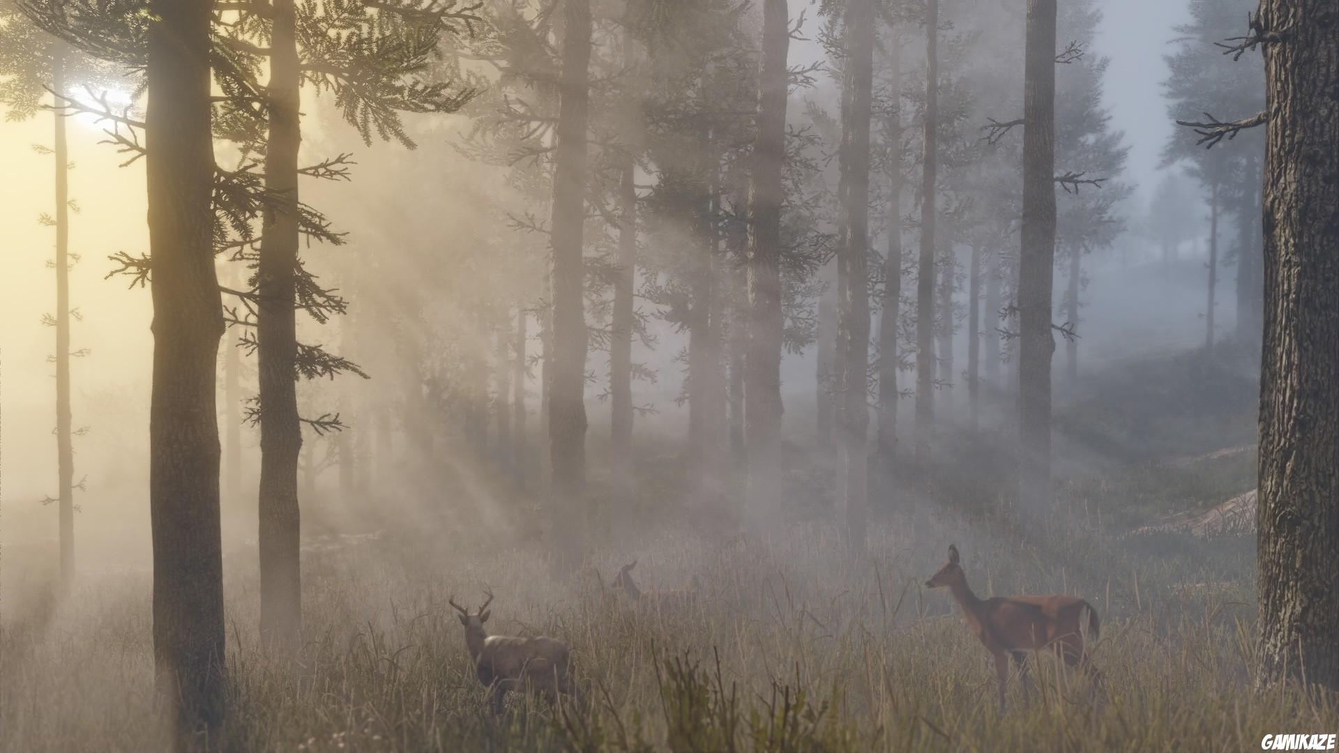 Red Dead Redemption 2