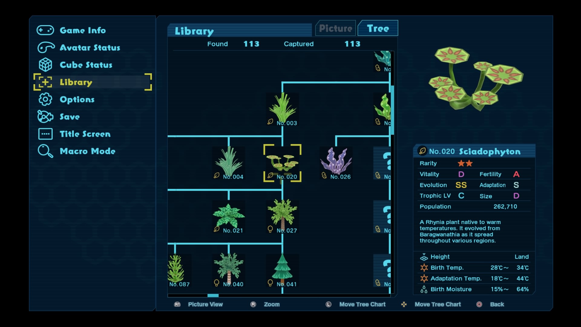 Birthdays The Beginning