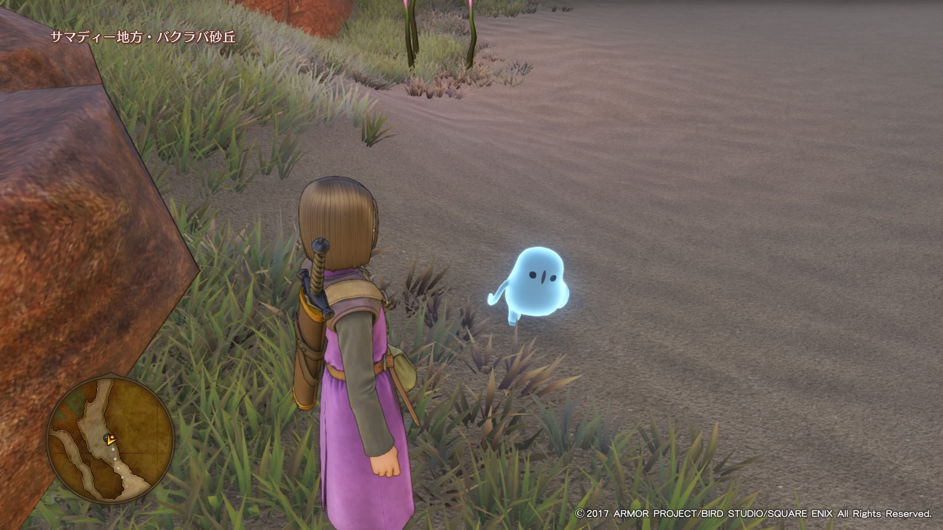 Dragon Quest XI : Les Combattants de la destinée