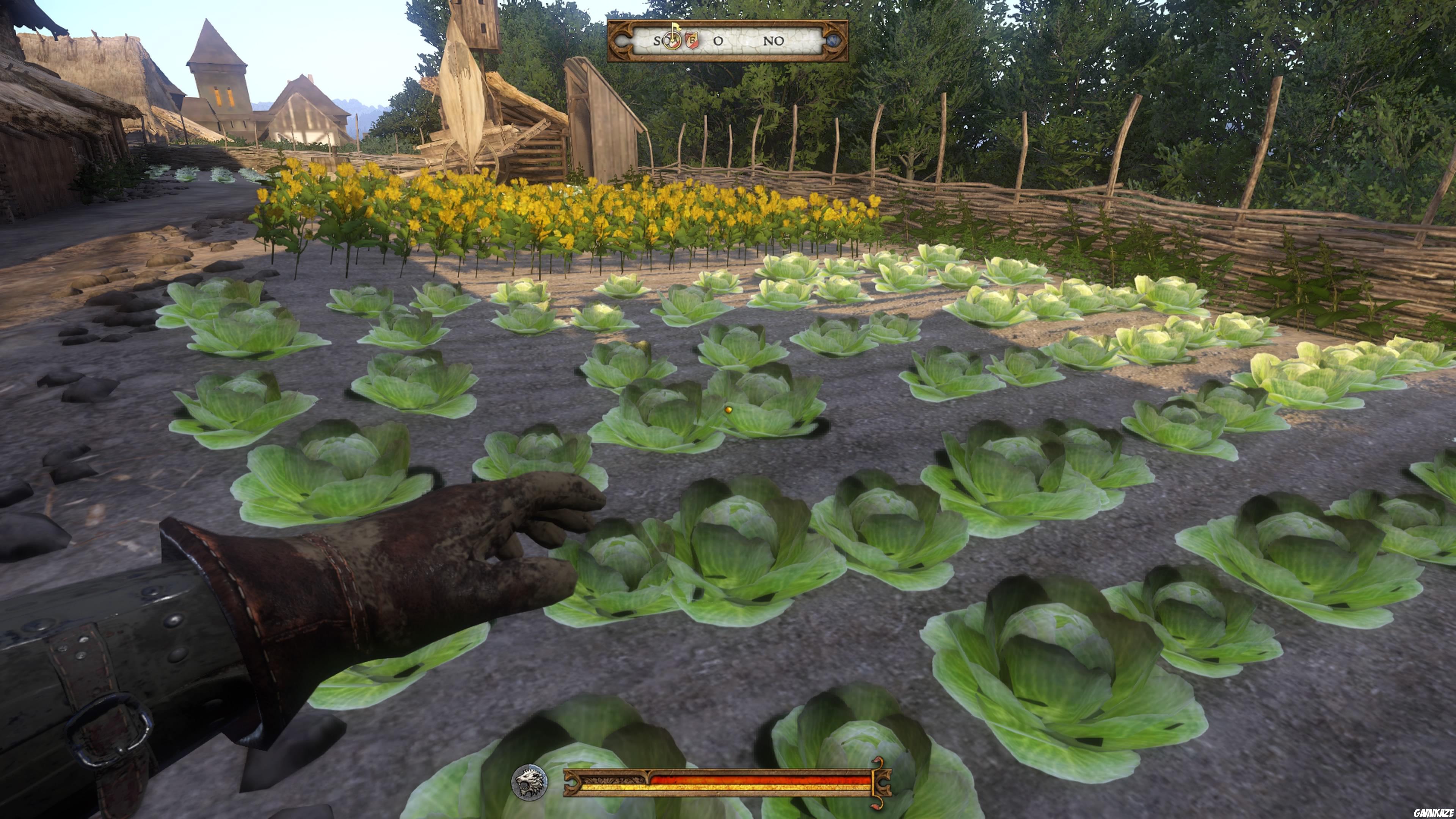 Kingdom Come : Deliverance