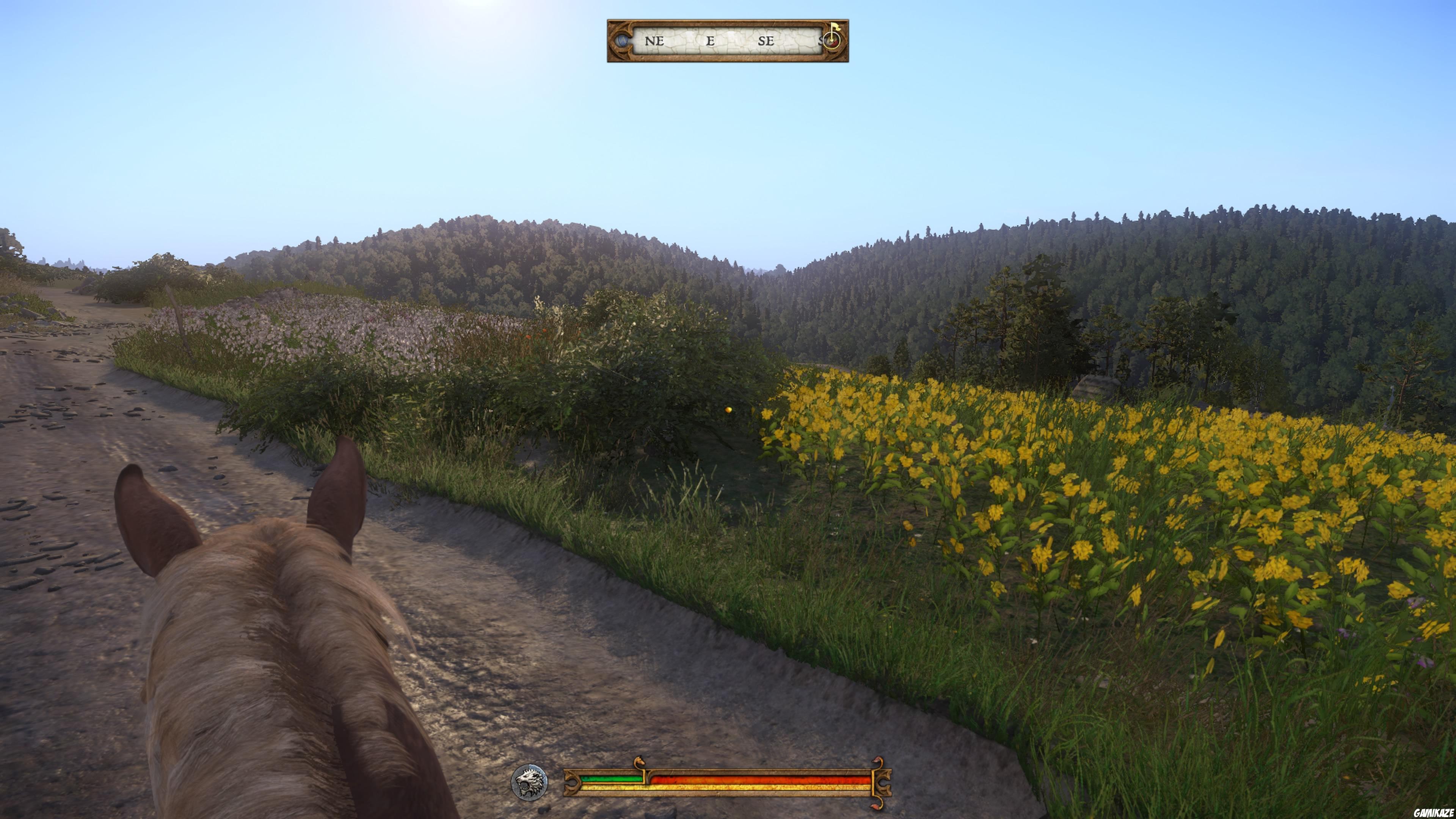 Kingdom Come : Deliverance