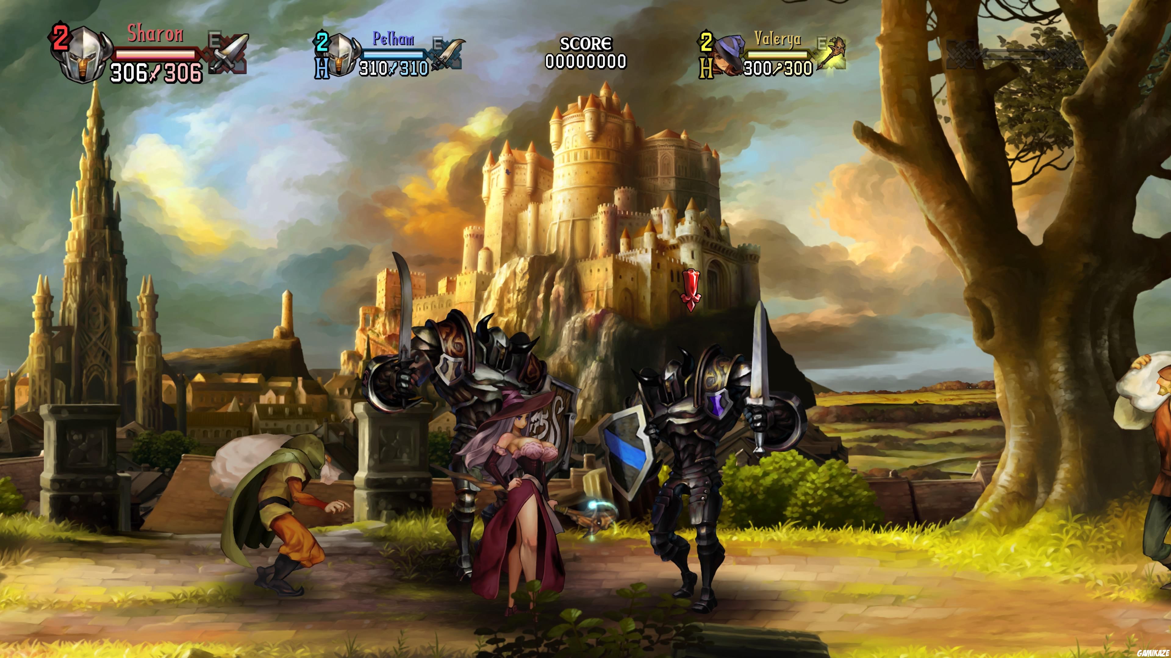 Dragon's Crown Pro