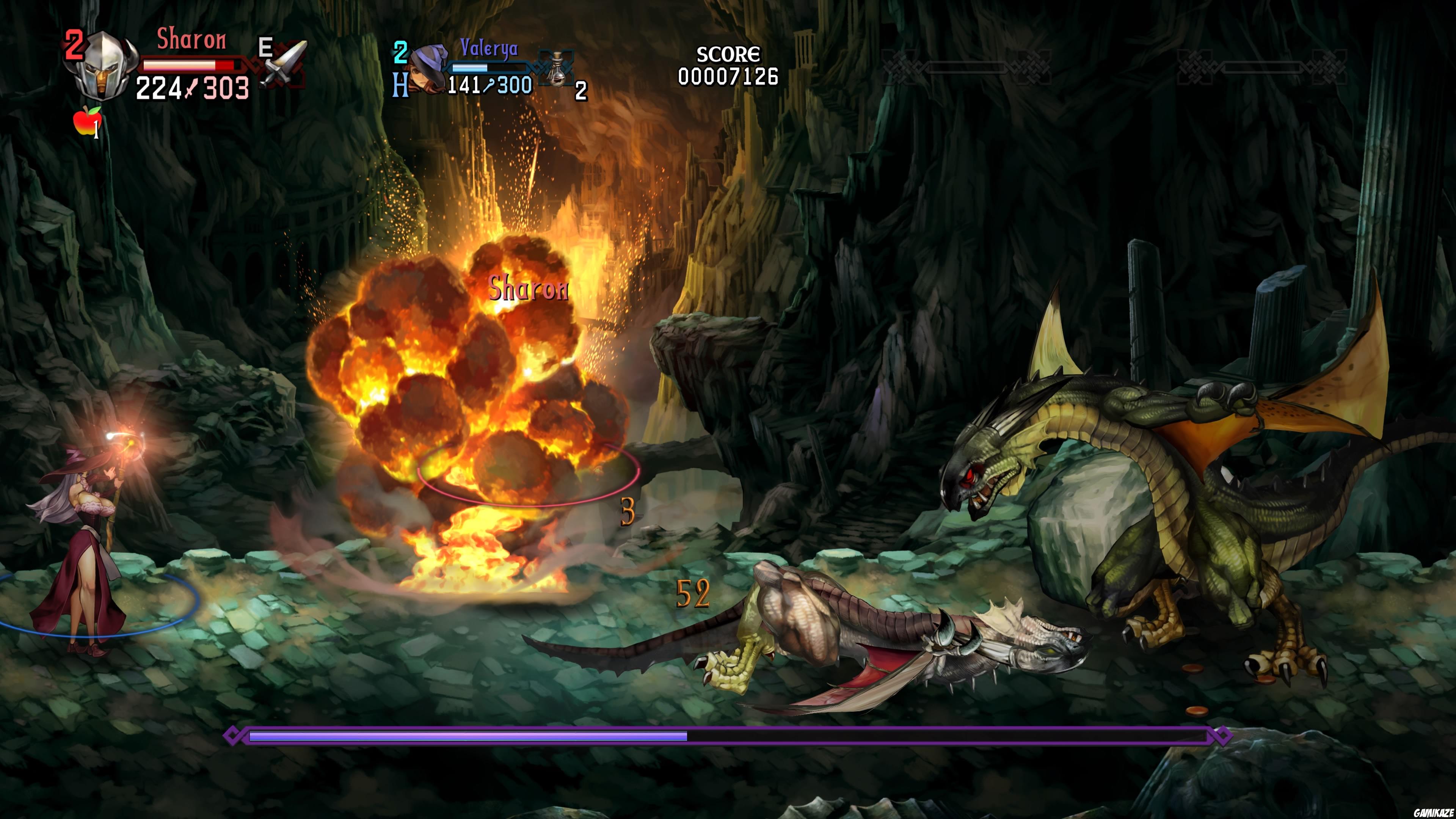 Dragon's Crown Pro