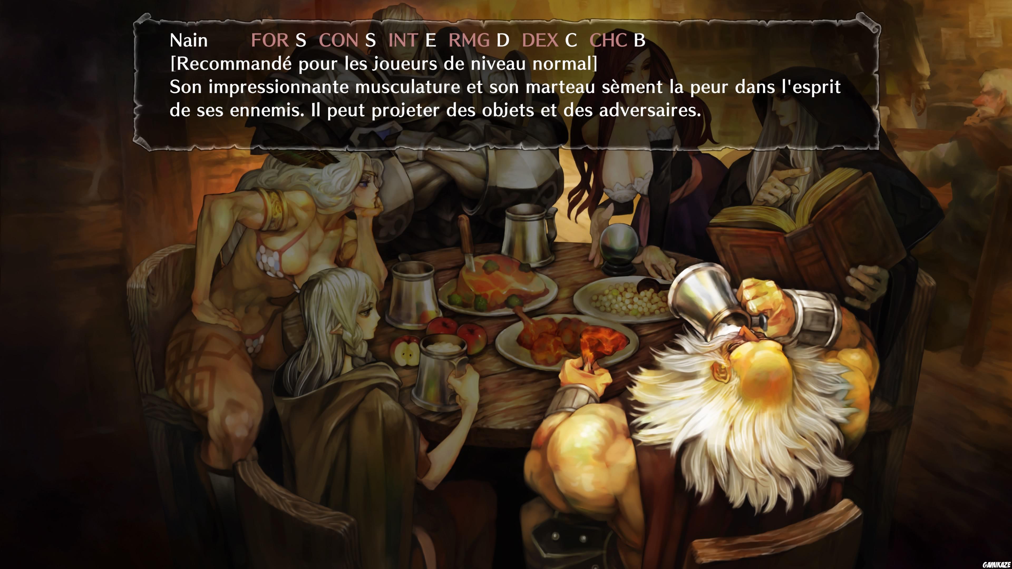 Dragon's Crown Pro