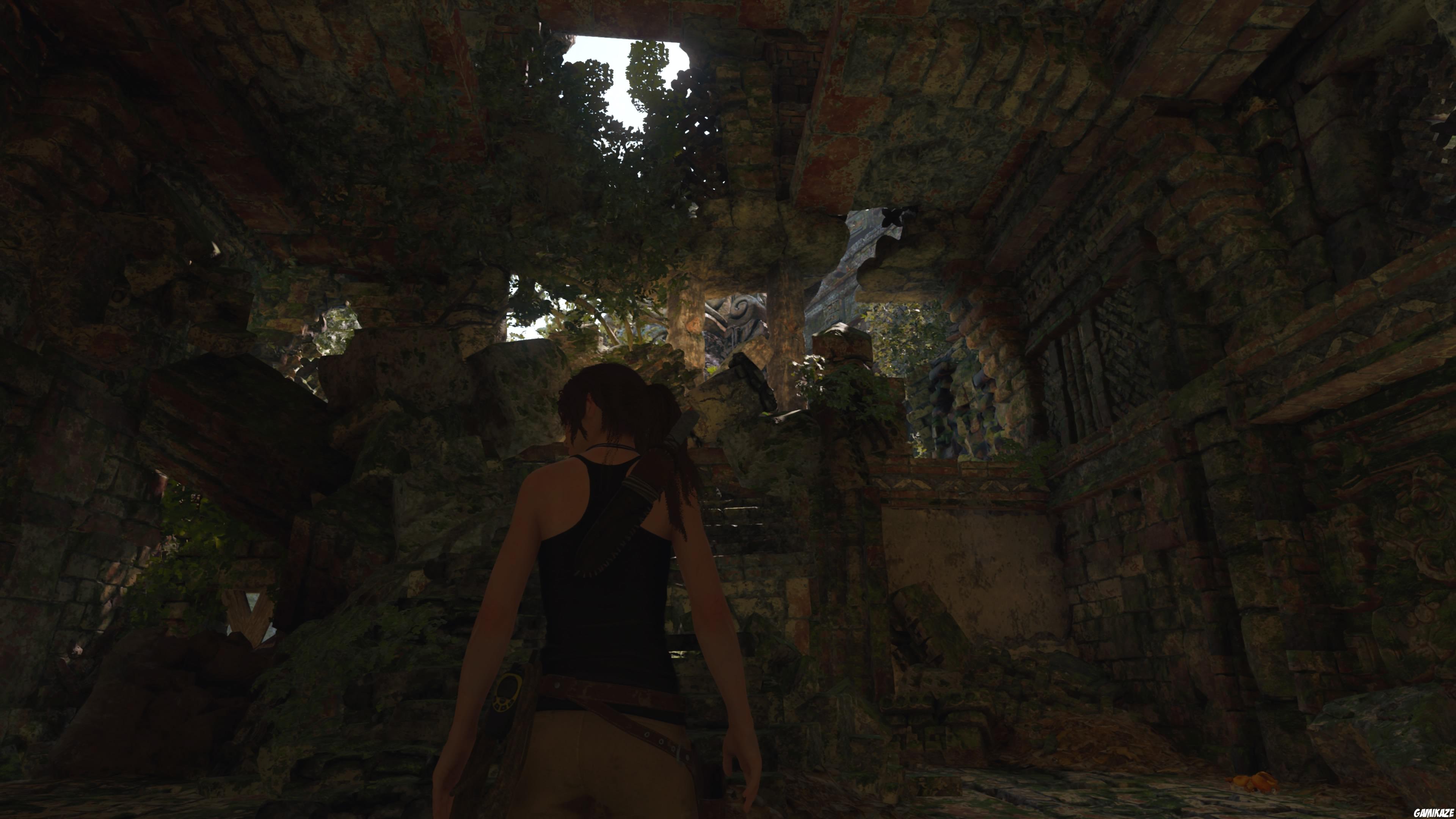 Shadow of The Tomb Raider