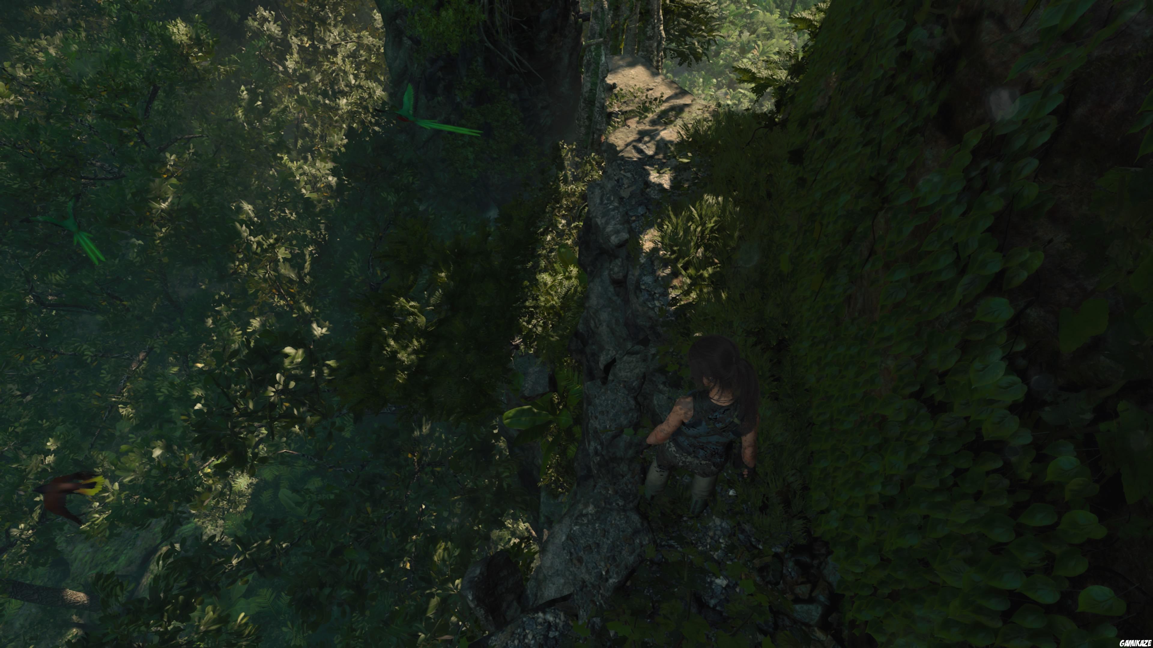 Shadow of The Tomb Raider