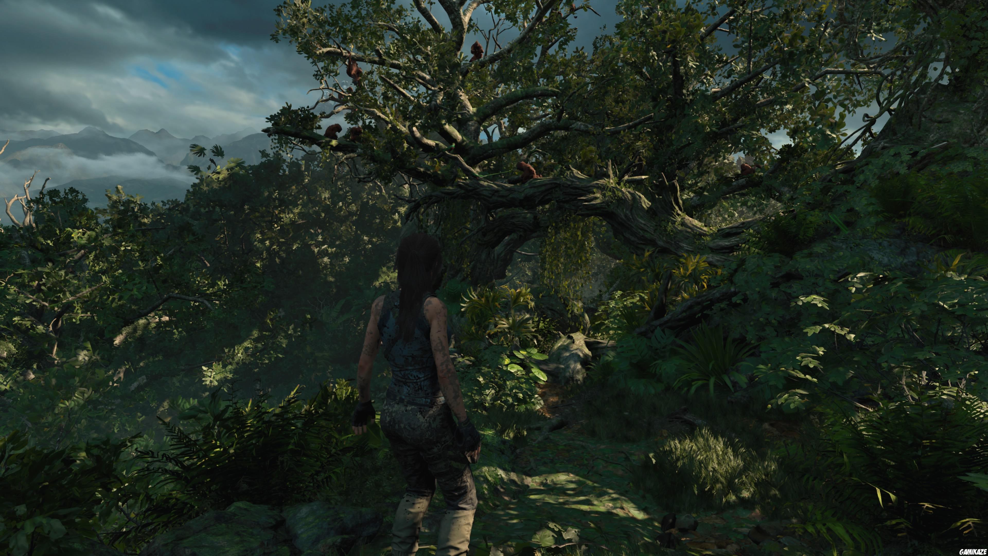 Shadow of The Tomb Raider