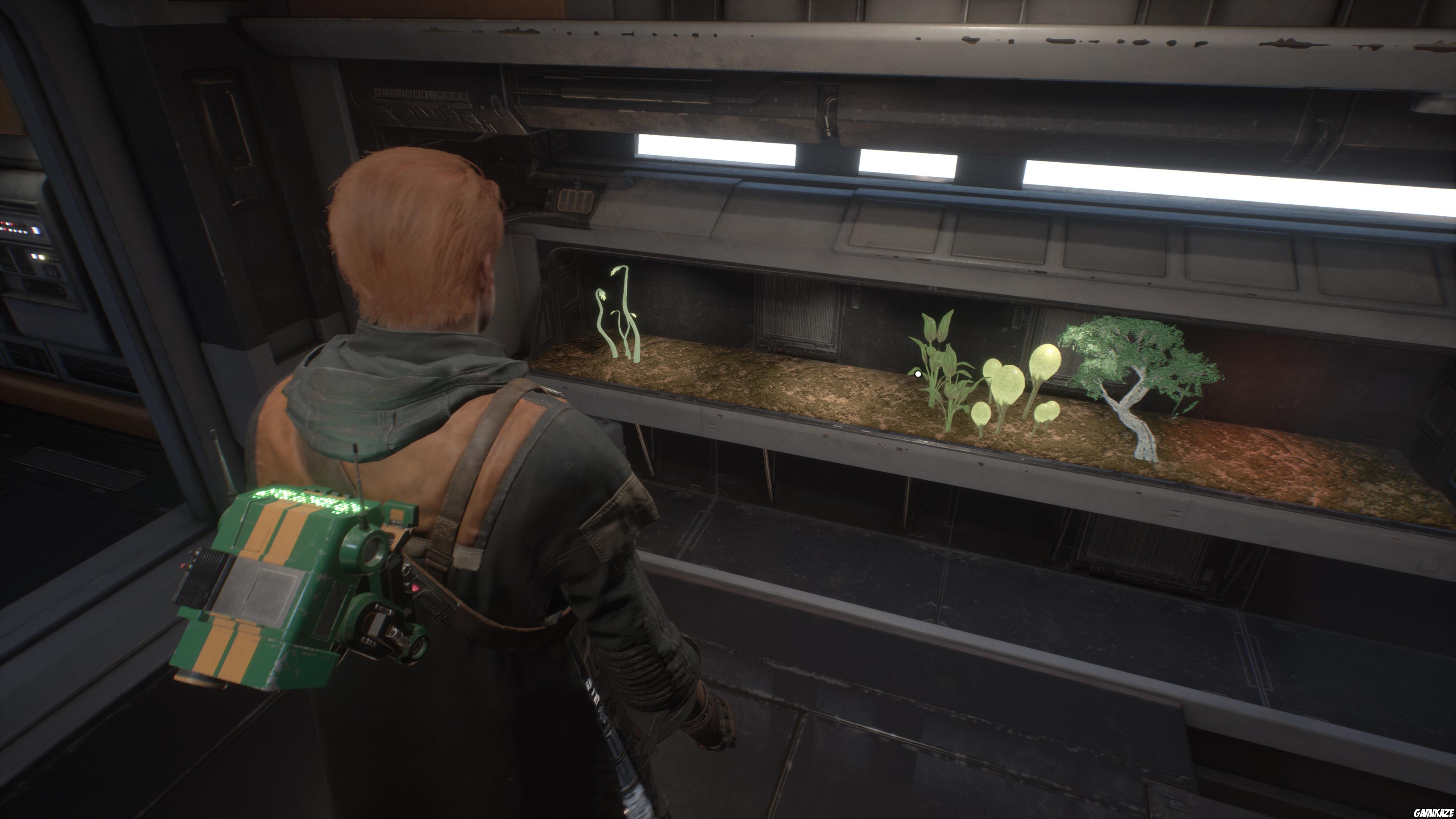 Star Wars : Jedi Fallen Order