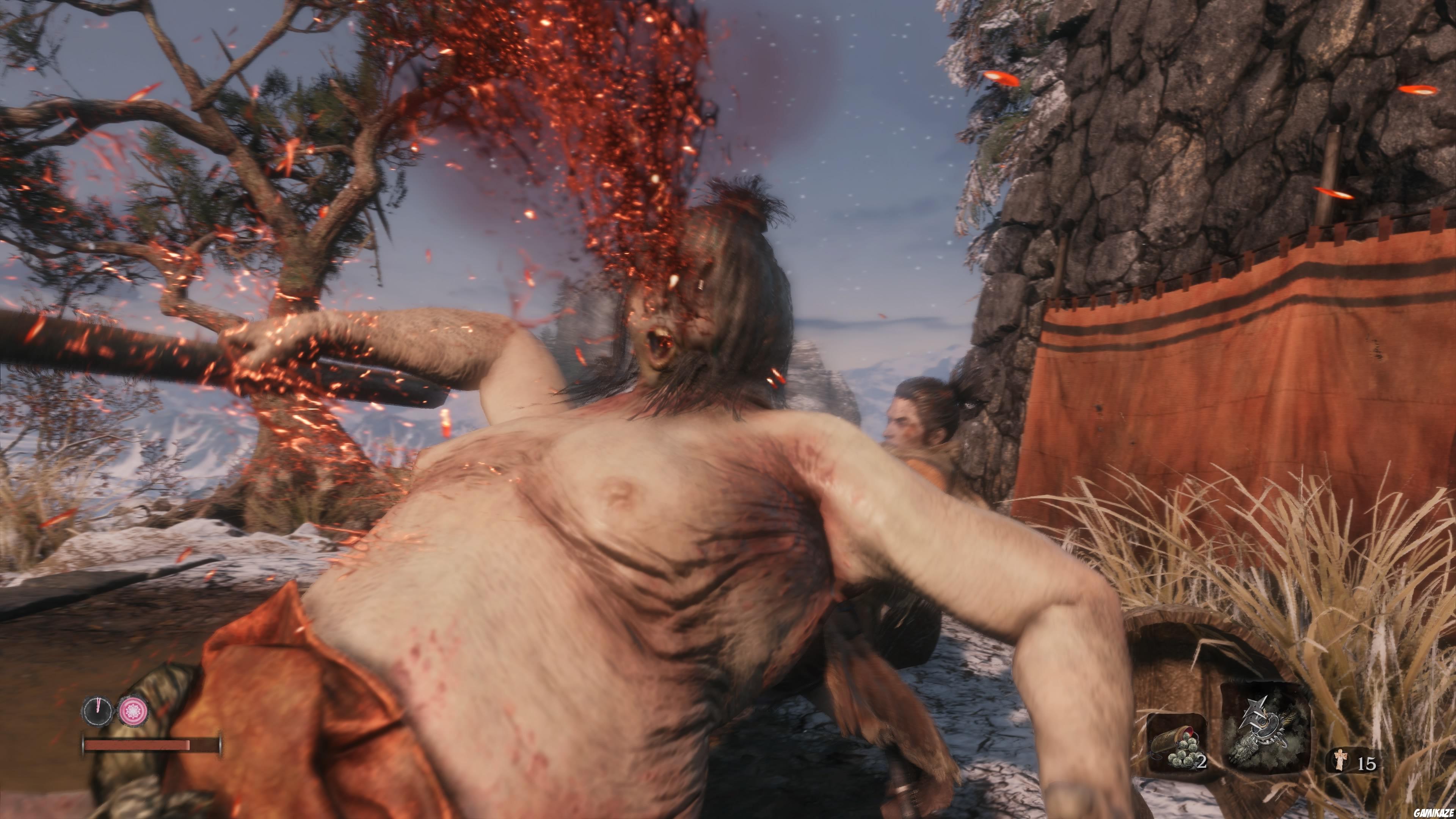Sekiro : Shadows Die Twice