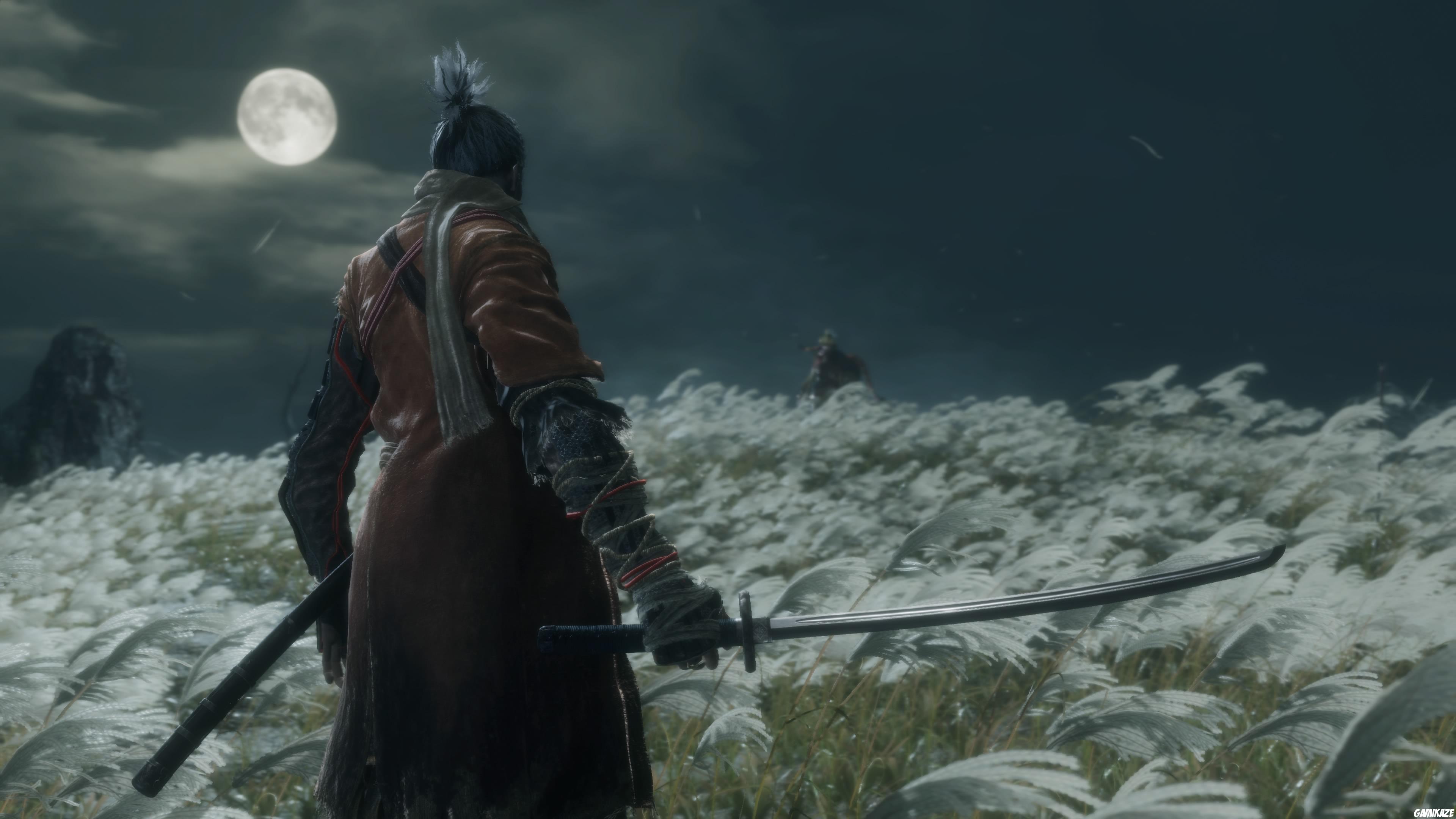 Sekiro : Shadows Die Twice