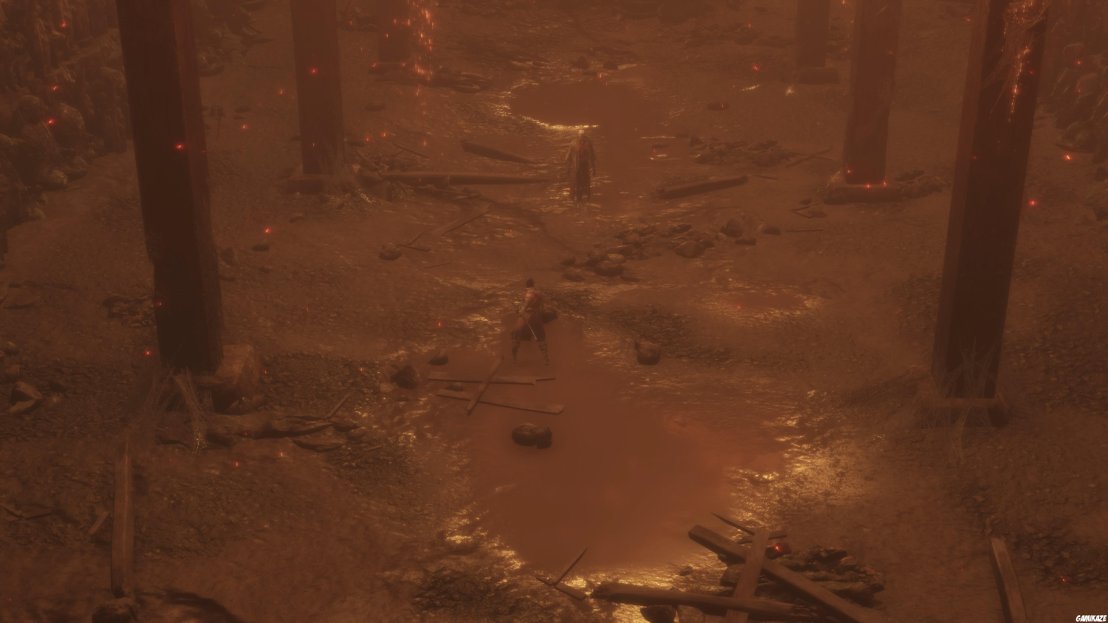 Sekiro : Shadows Die Twice