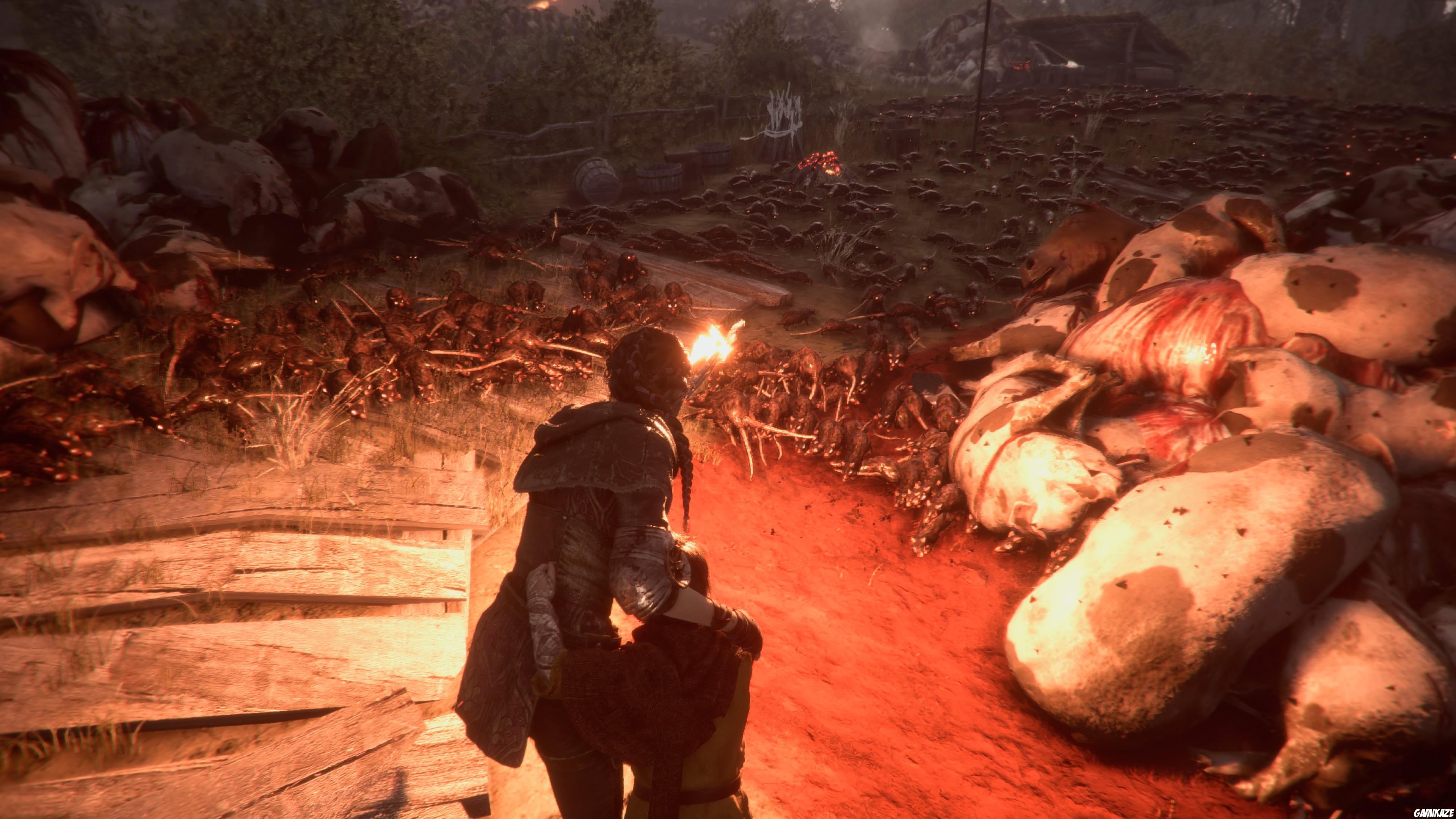 A Plague Tale : Innocence