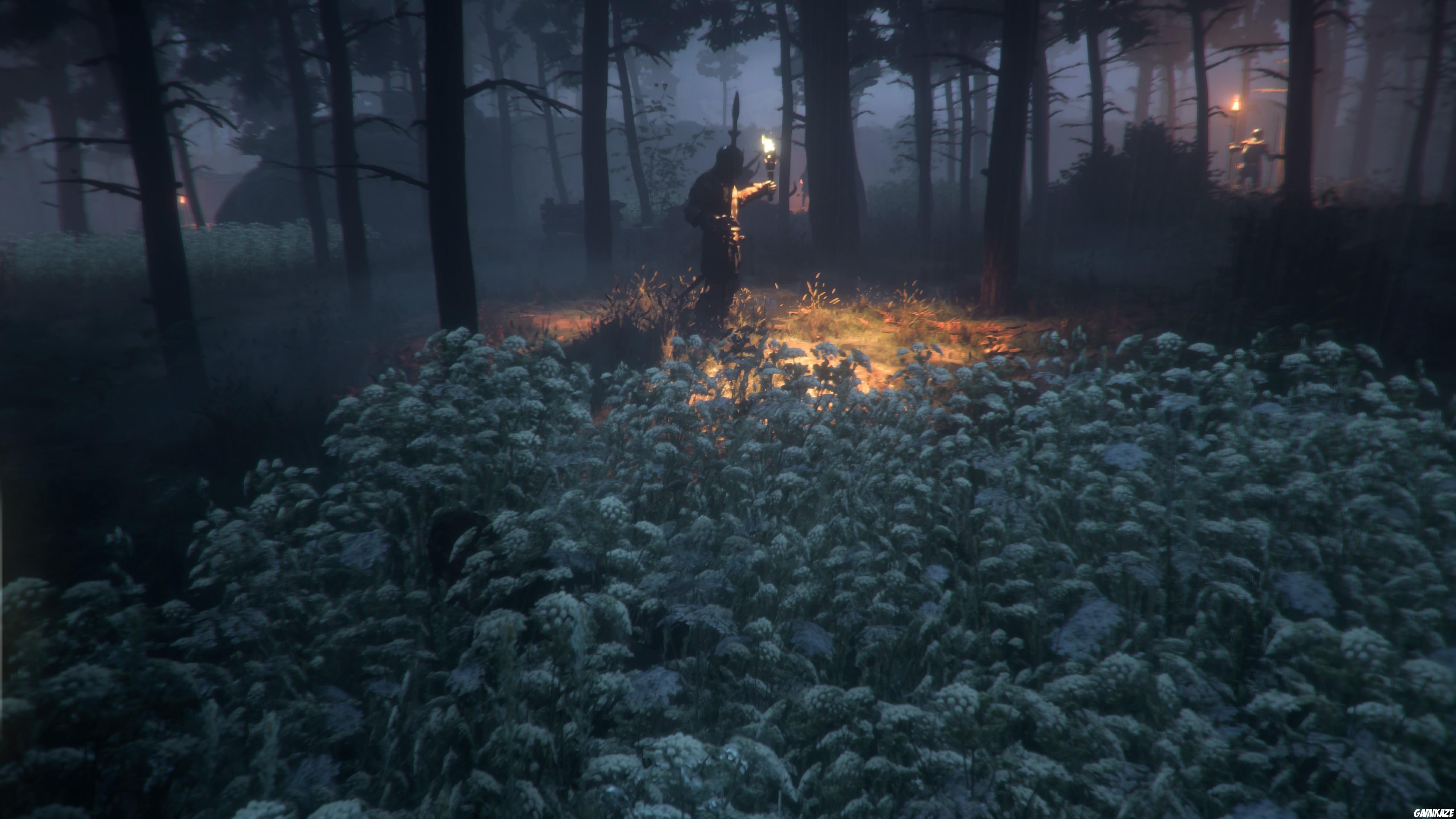 A Plague Tale : Innocence
