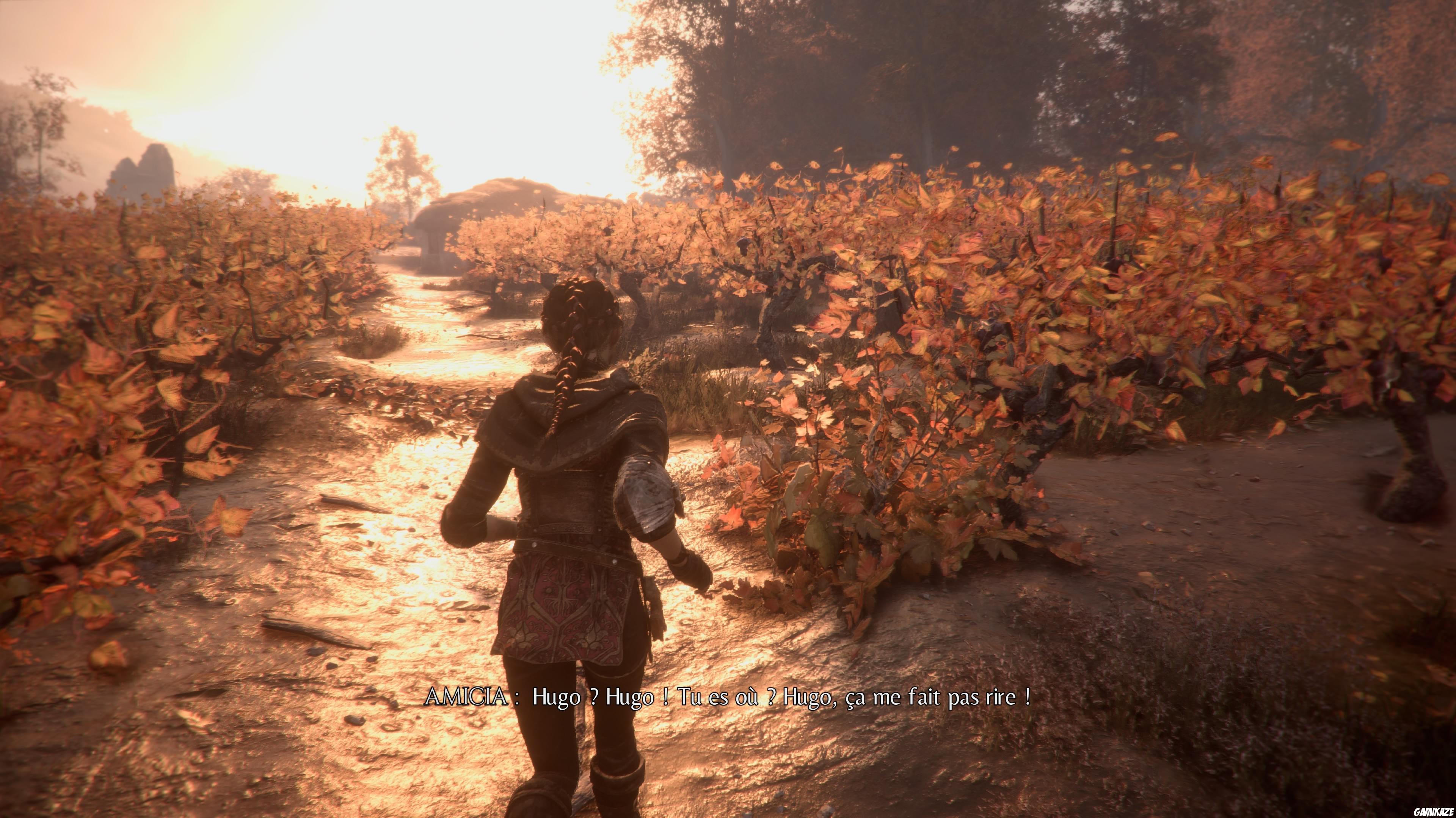 A Plague Tale : Innocence