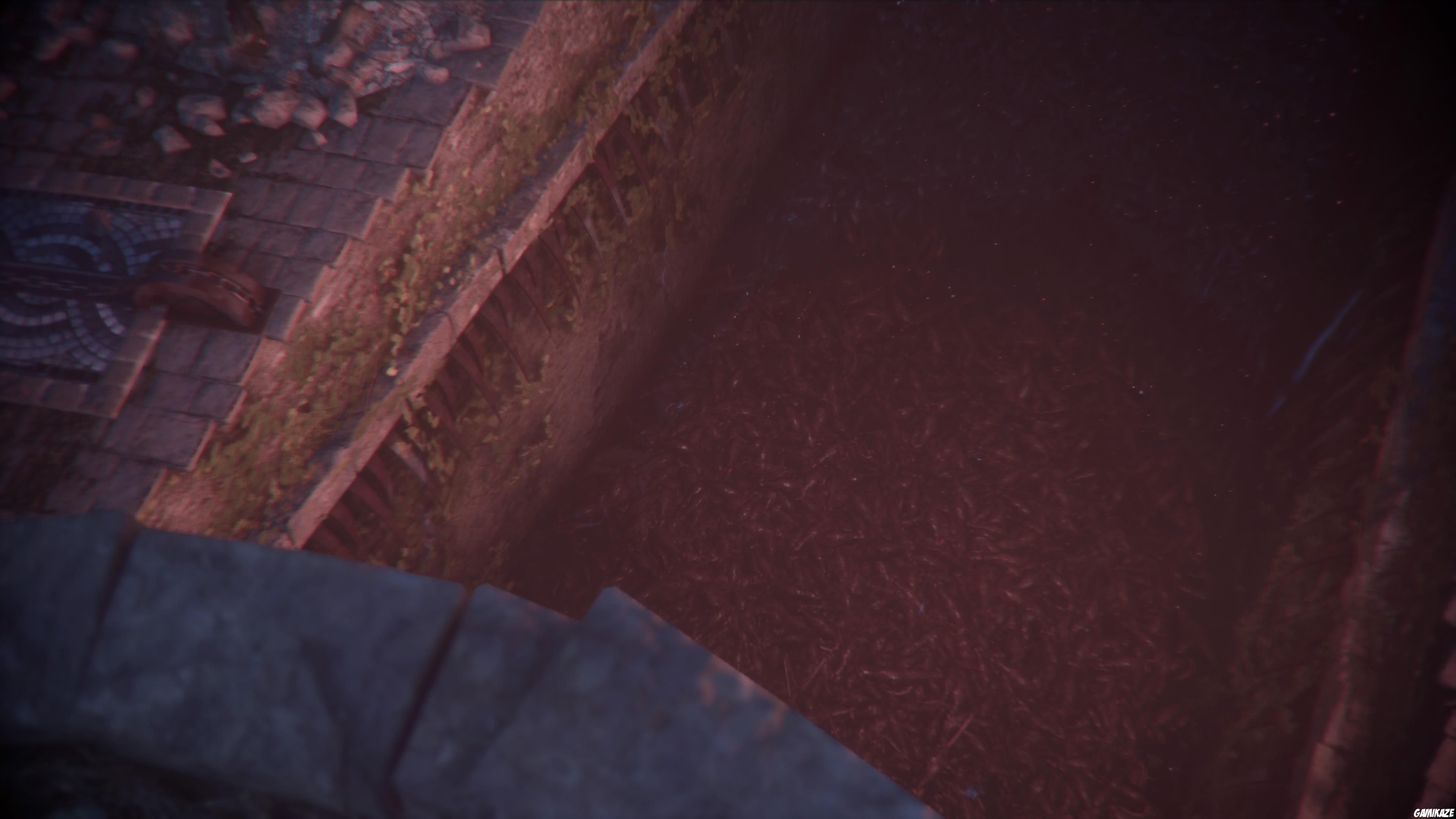 A Plague Tale : Innocence