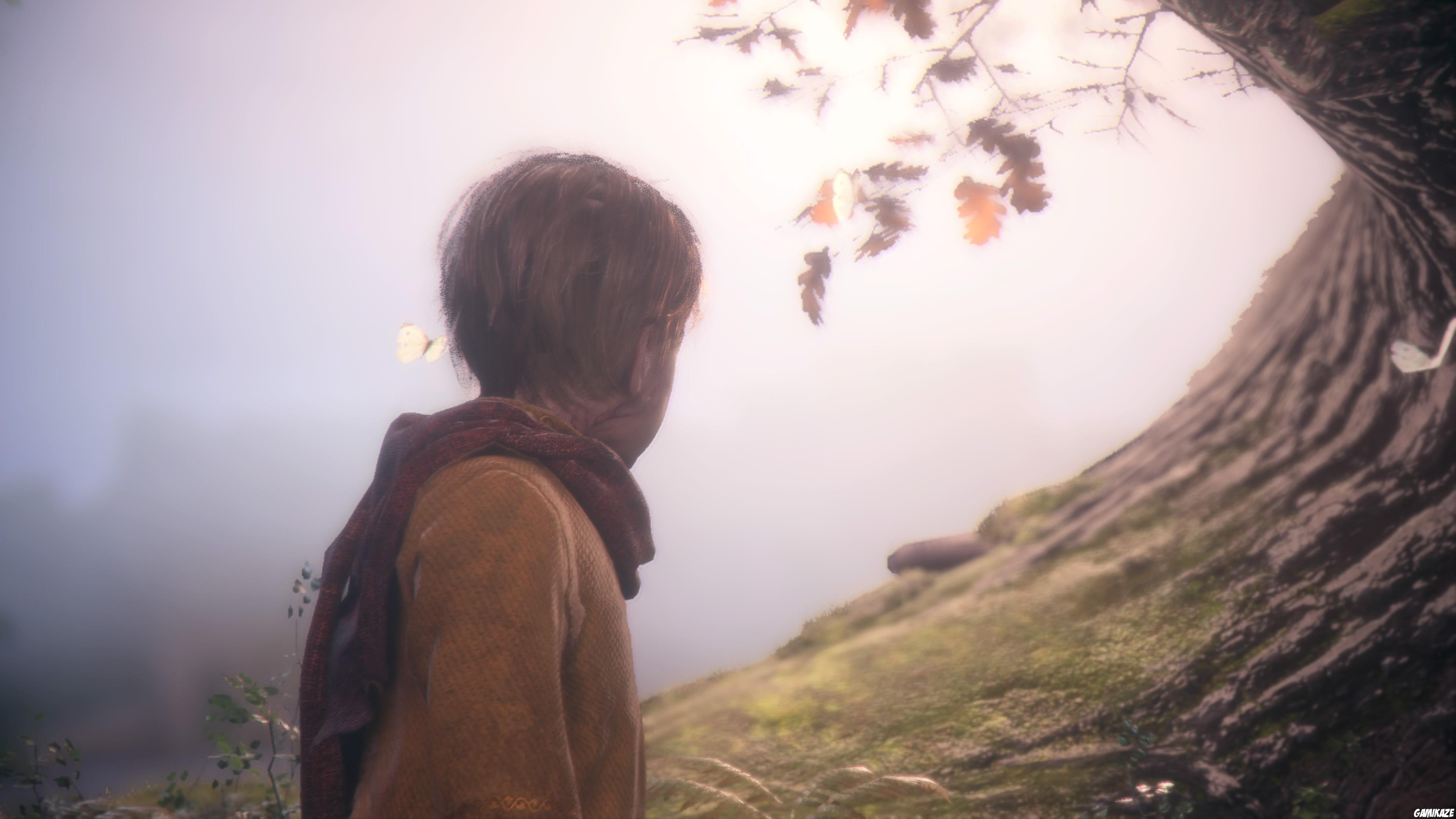 A Plague Tale : Innocence
