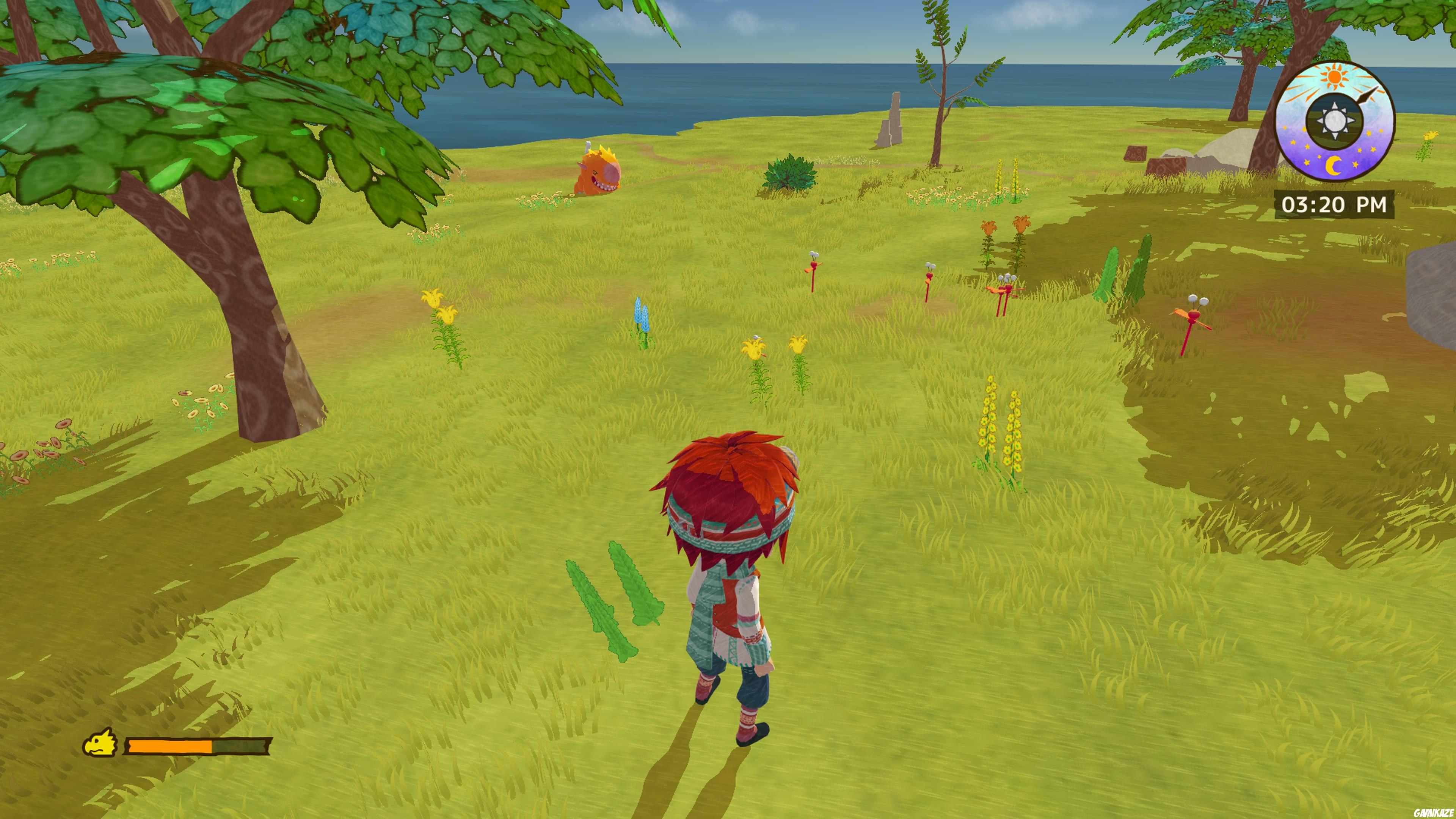 Little Dragons Café