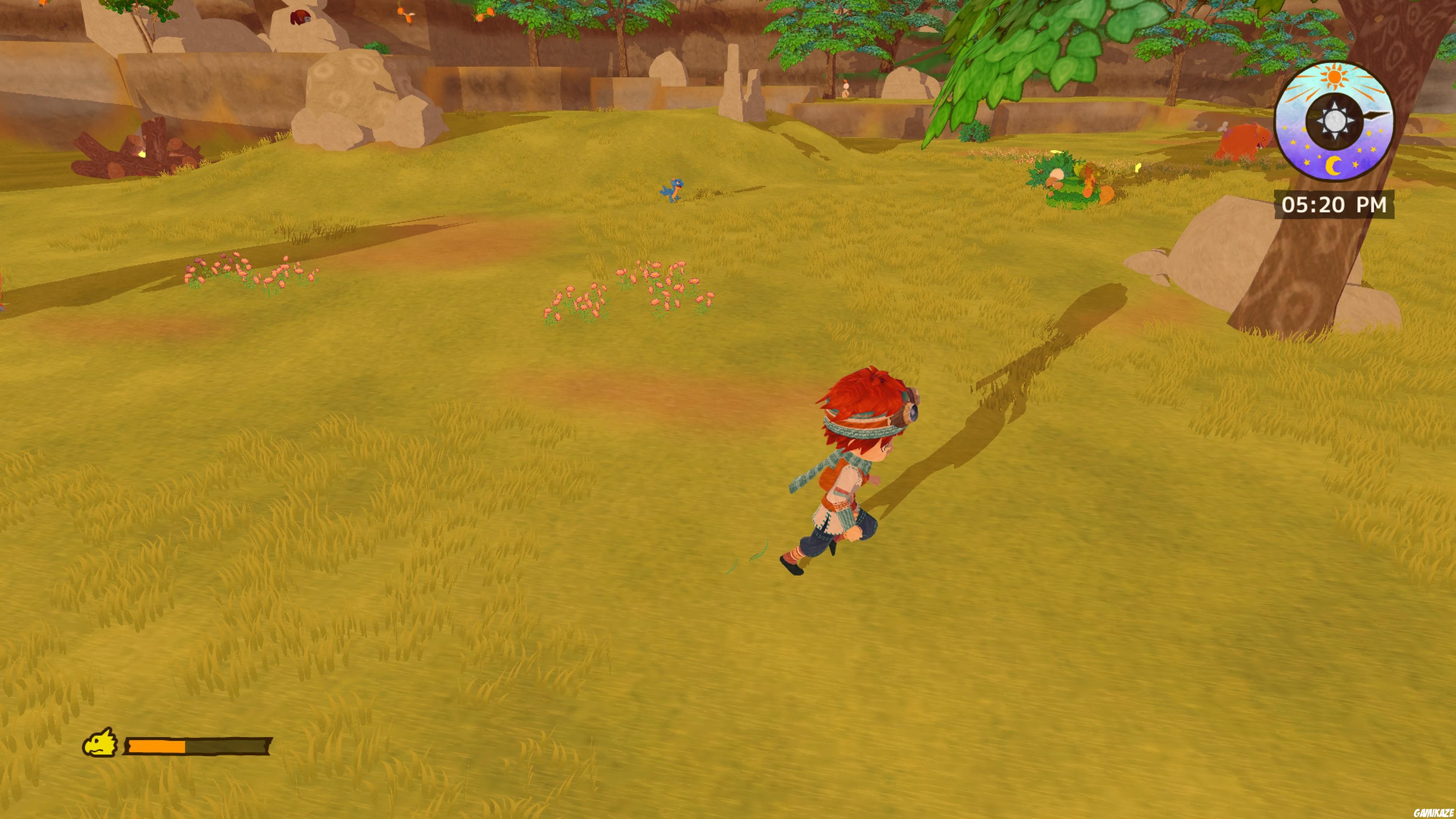 Little Dragons Café