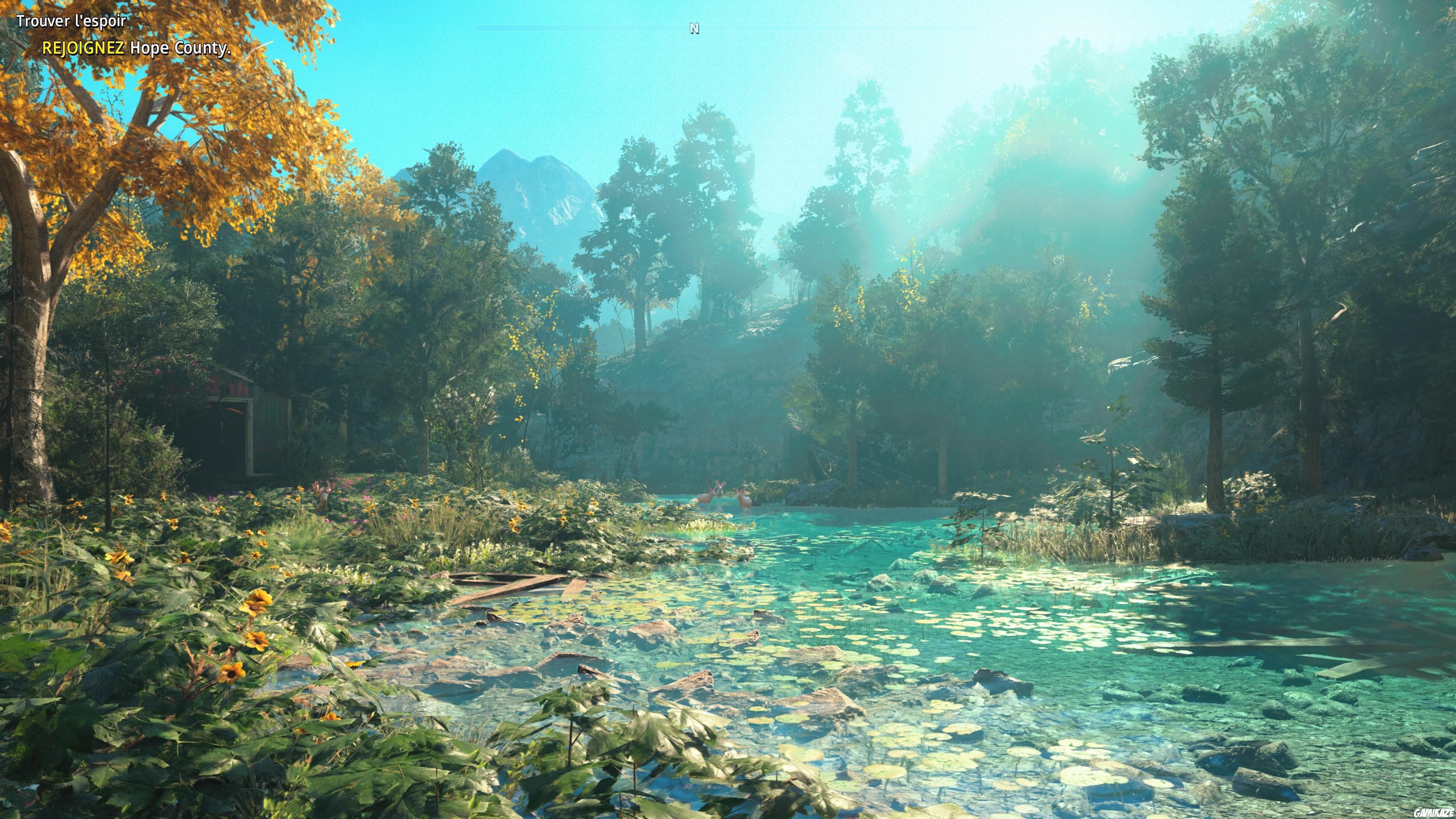 Far Cry : New Dawn