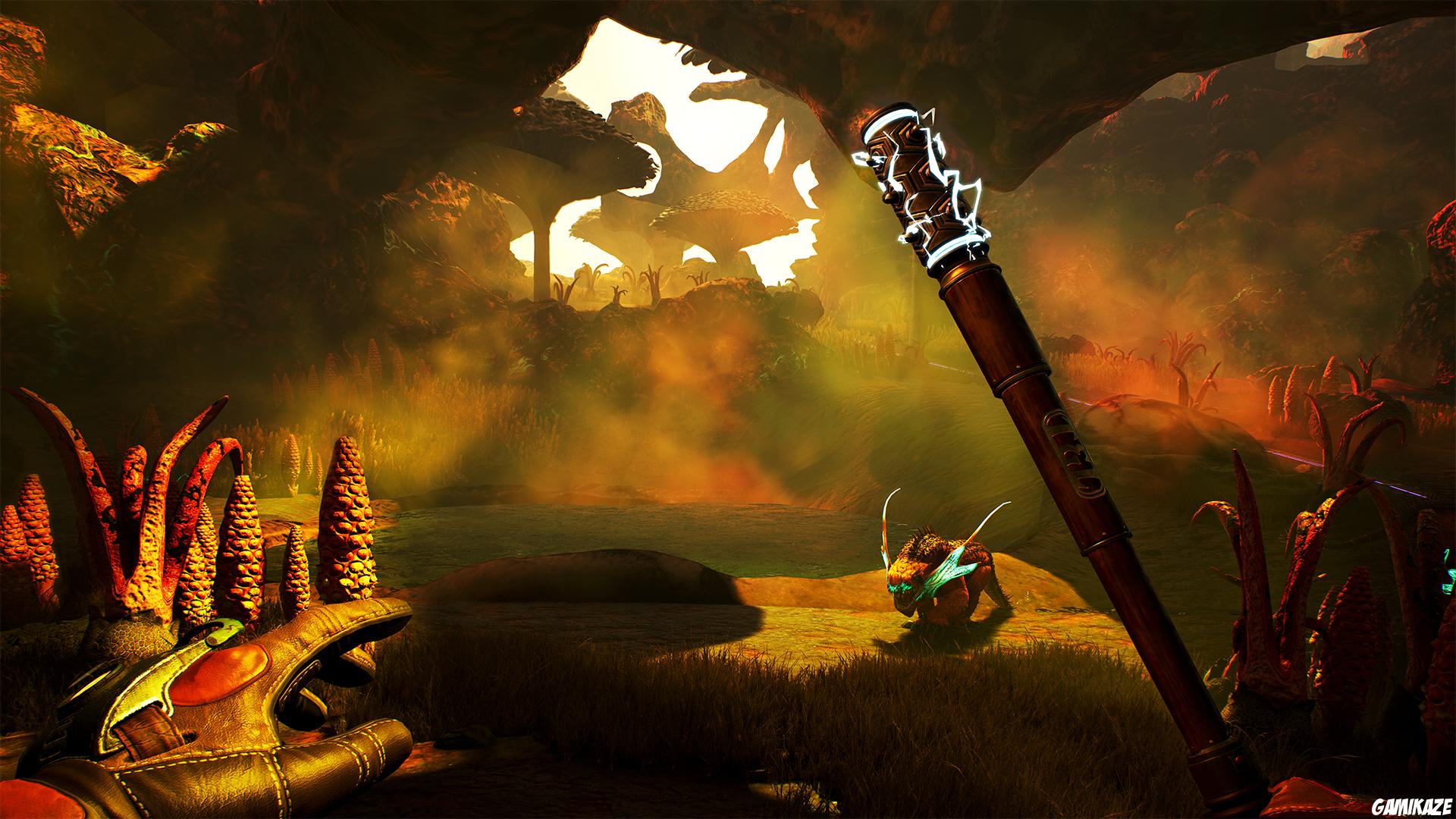 The Outer Worlds
