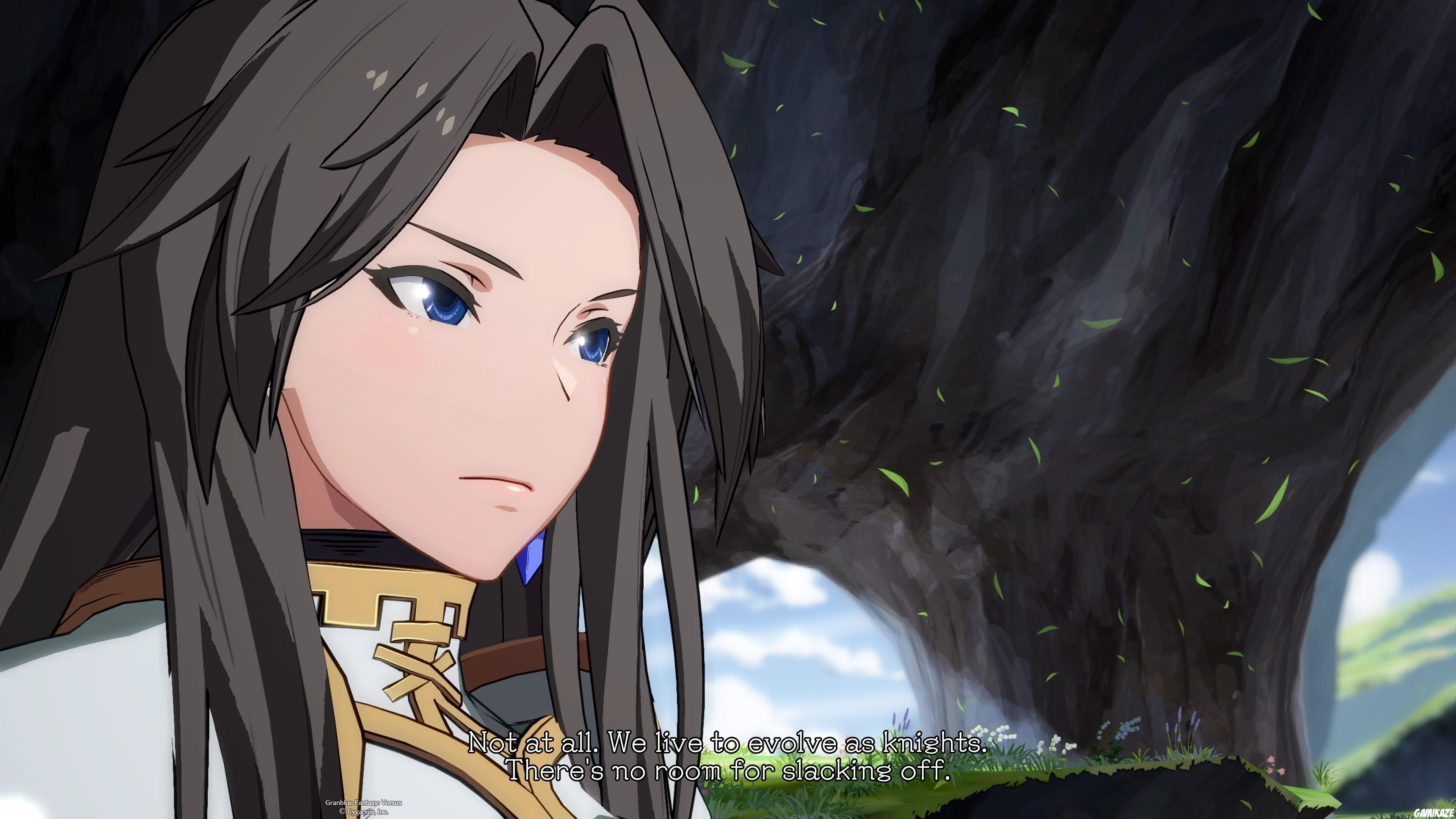 Granblue Fantasy Versus