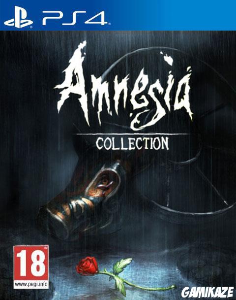 cover Amnesia : Collection ps4