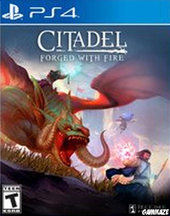 cover Citadel : Forged with Fire ps4