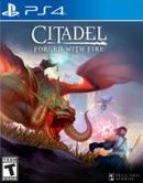 game type RPG Citadel : Forged with Fire